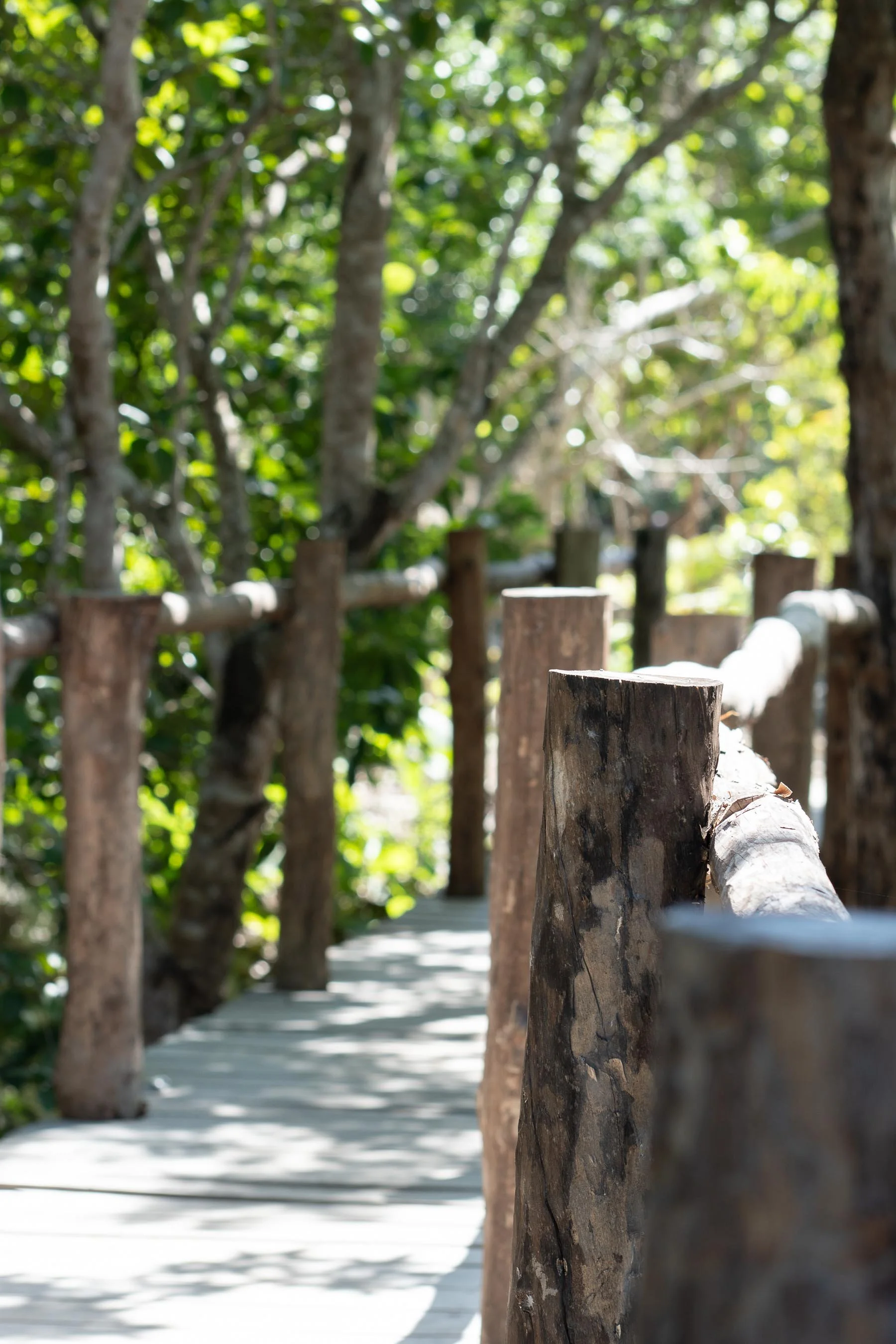 Copia de Dia 1_-20.jpg