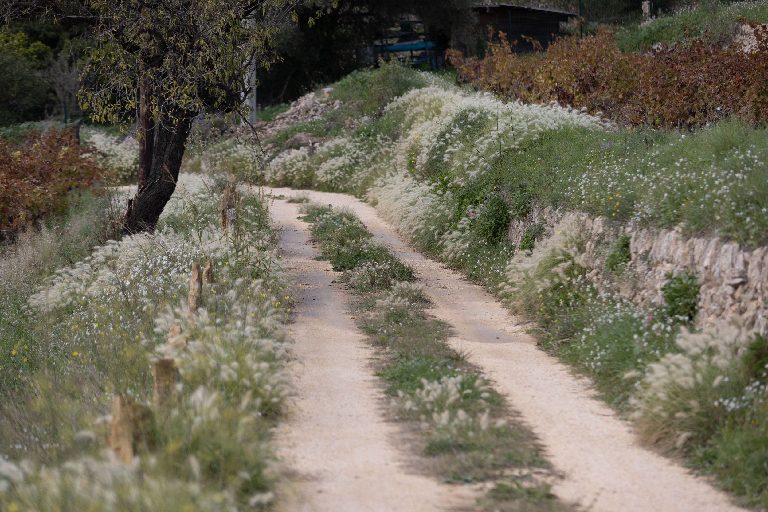 X_Deep Reset Sanary -80.jpg