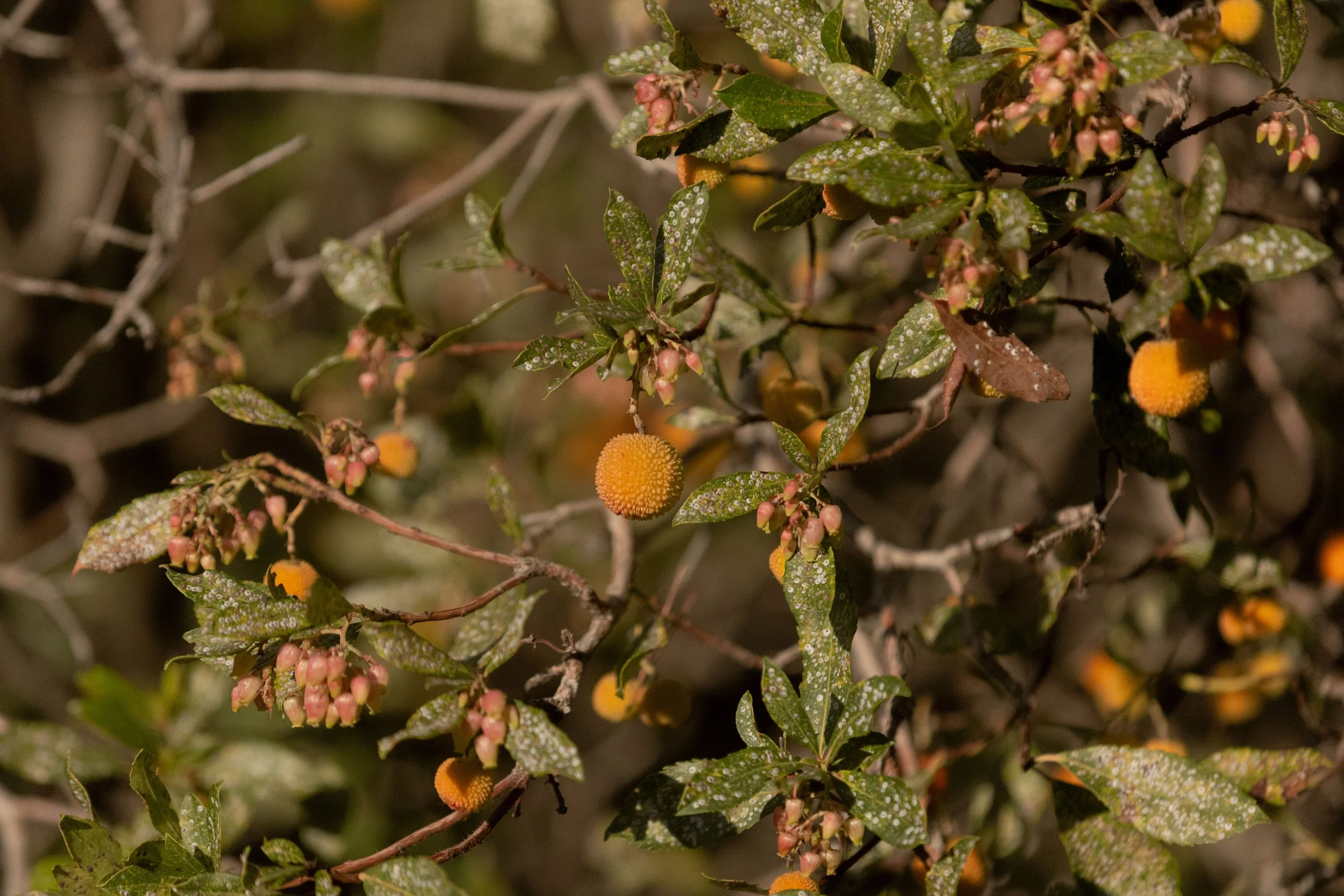 X_Deep Reset Sanary-32.jpg