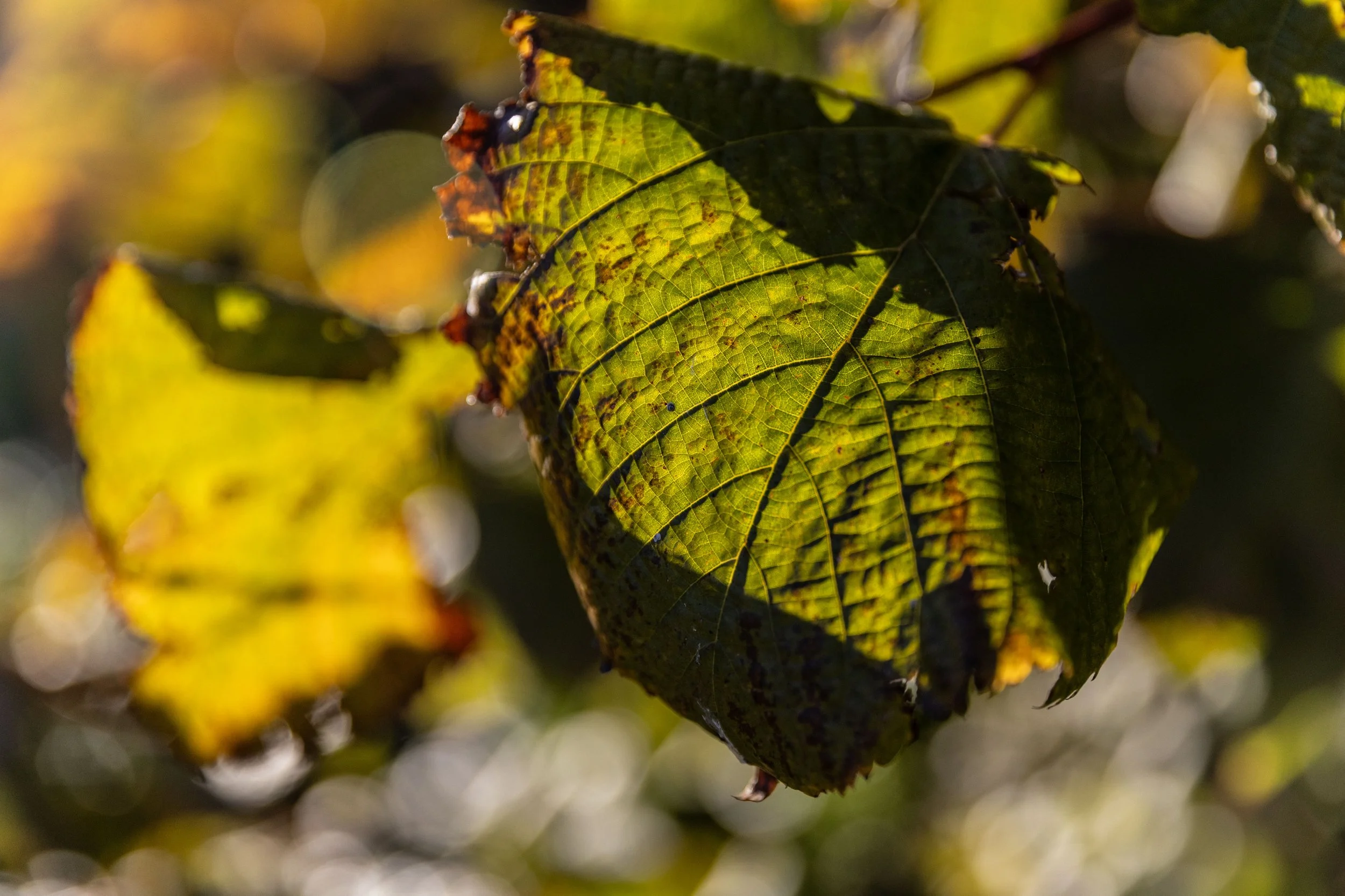 X_Deep Reset Sanary-491.jpg