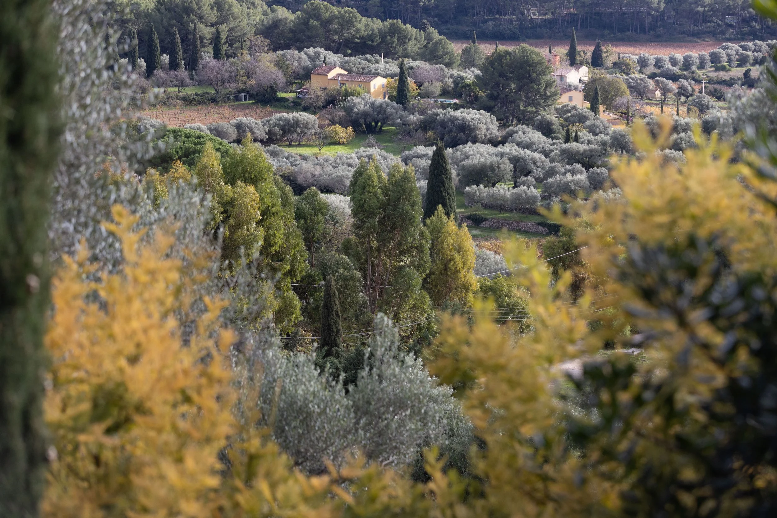 X_G Deep Reset Sanary -85.jpg