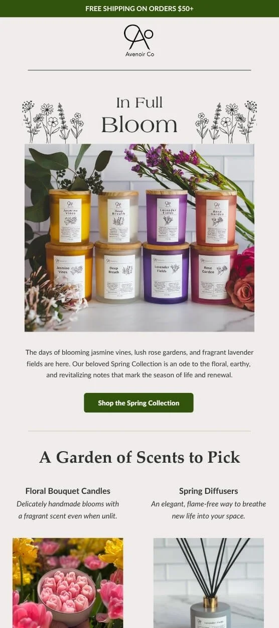Spring Collection Launch Email