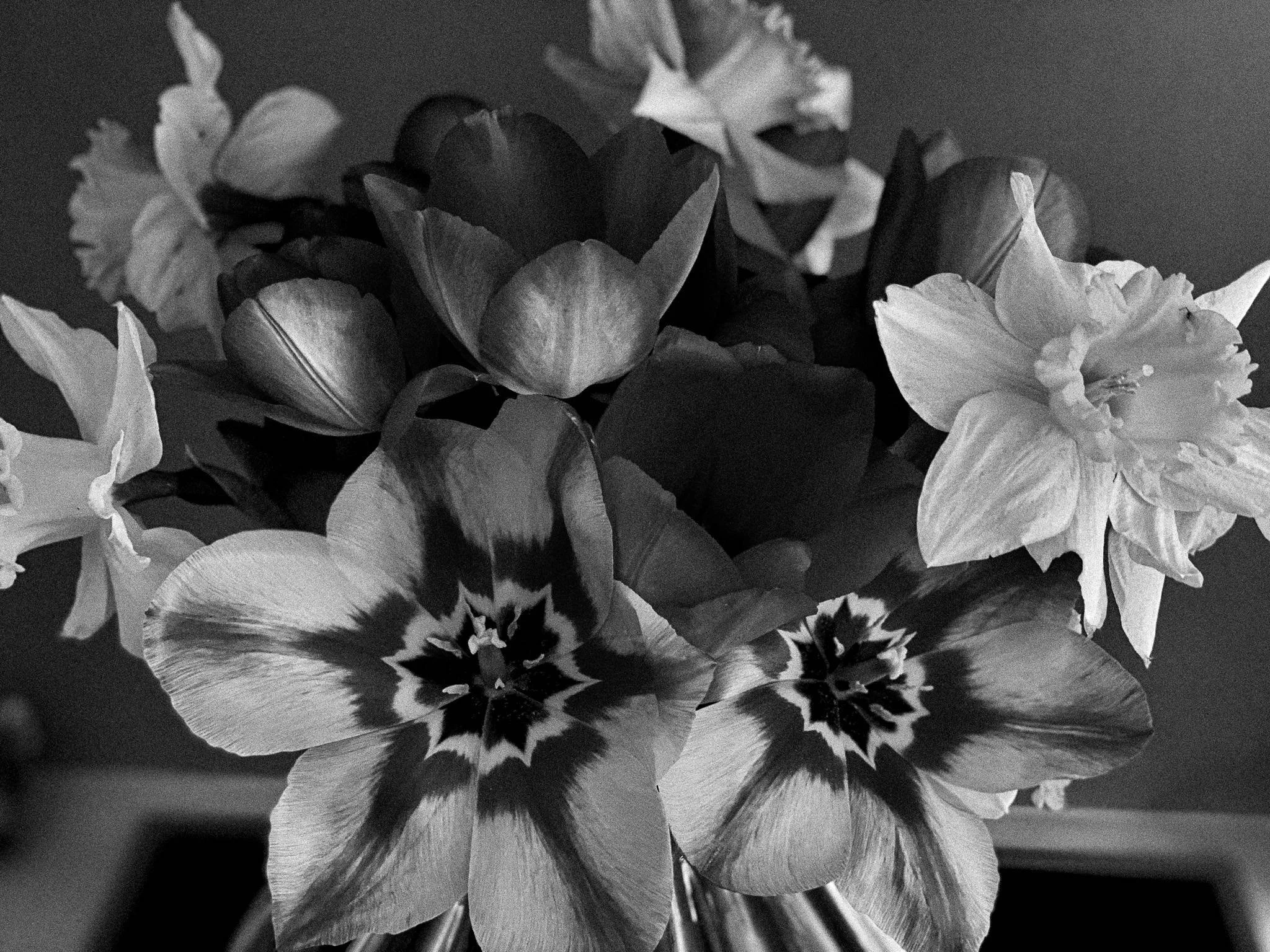 Blühender Blumenstrauß in schwarz-weiß.
