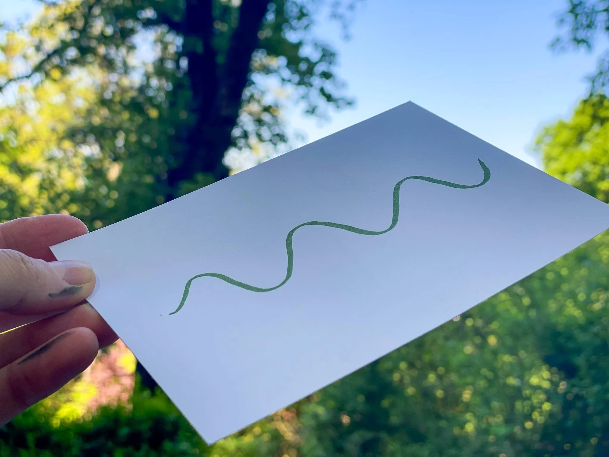 Eine grüne geschwungene Linie auf einem weißen Blatt Papier, im Hintergrund Sonne, blauer Himmel und Bäume.