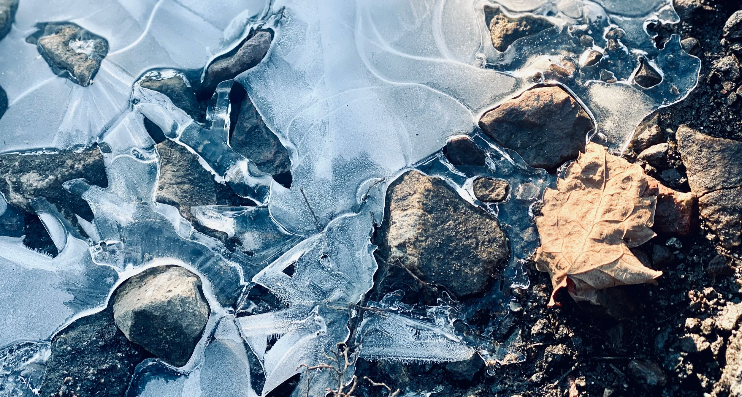 Steine und ein vertrocknetes Blatt teilweise überdeckt von Eis.