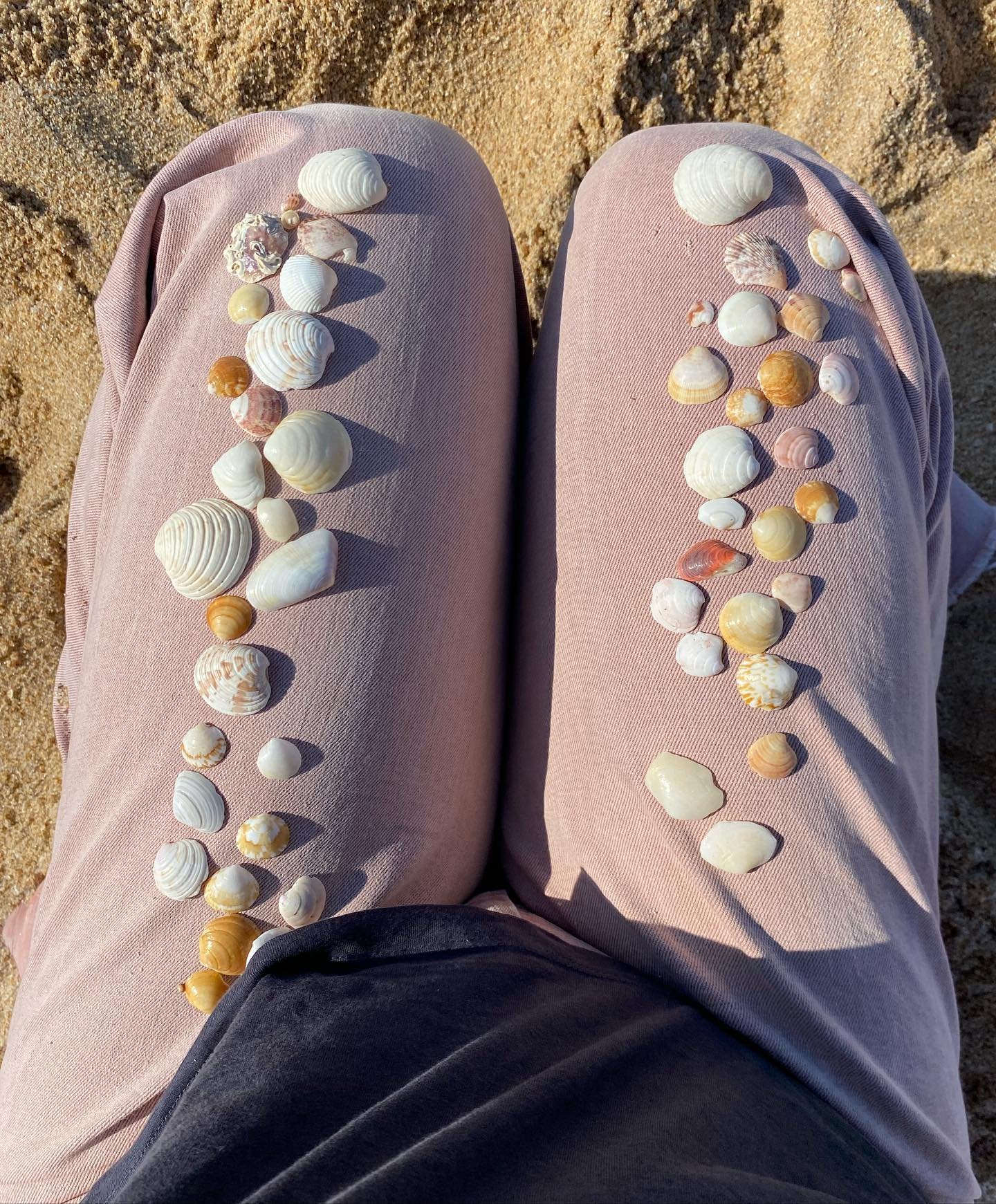 I&rsquo;m in the midst of my brand building/web building season&hellip; intermixed with weekends at the beach with my littles&hellip; it&rsquo;s the perfect sprinkle of inspiration 🐚🪸 

#brandbuilding #sennastudio #digitalcampfire #launchingsoon #f