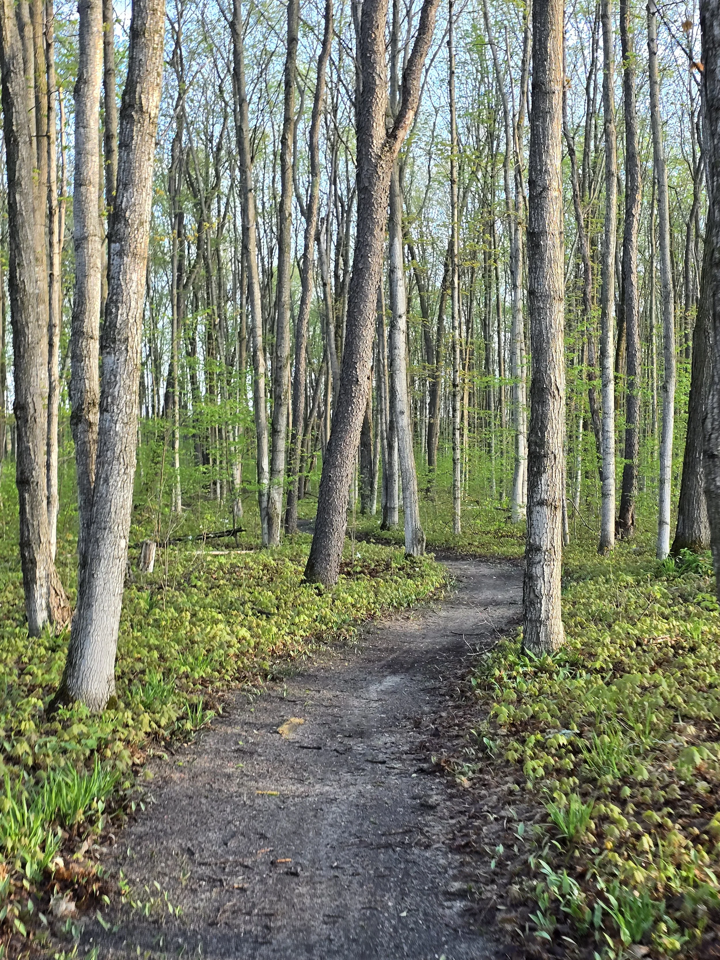 The Unexpected Joy of a Slower Pace