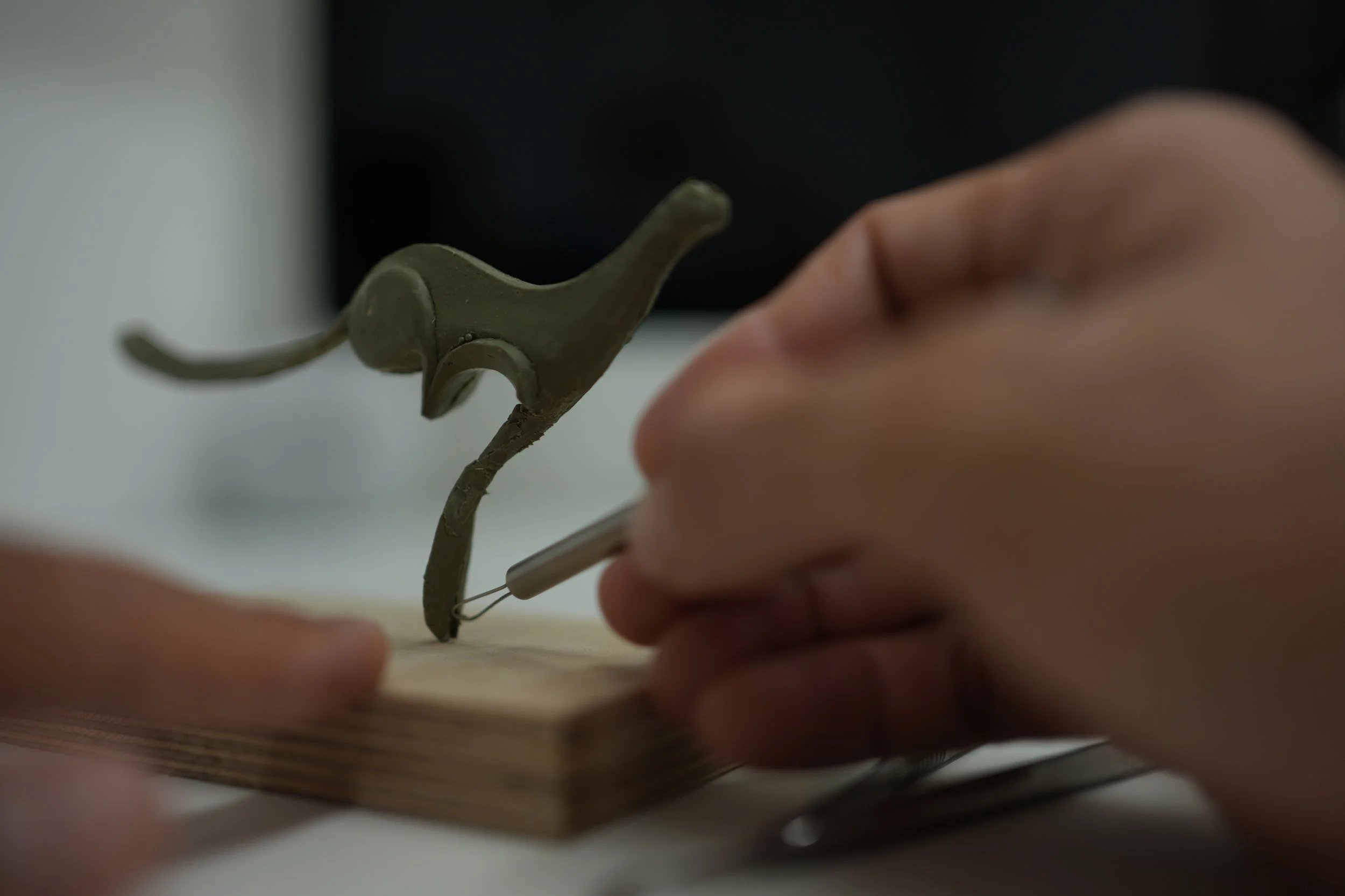 "PIROOZ" in progress .
2023.