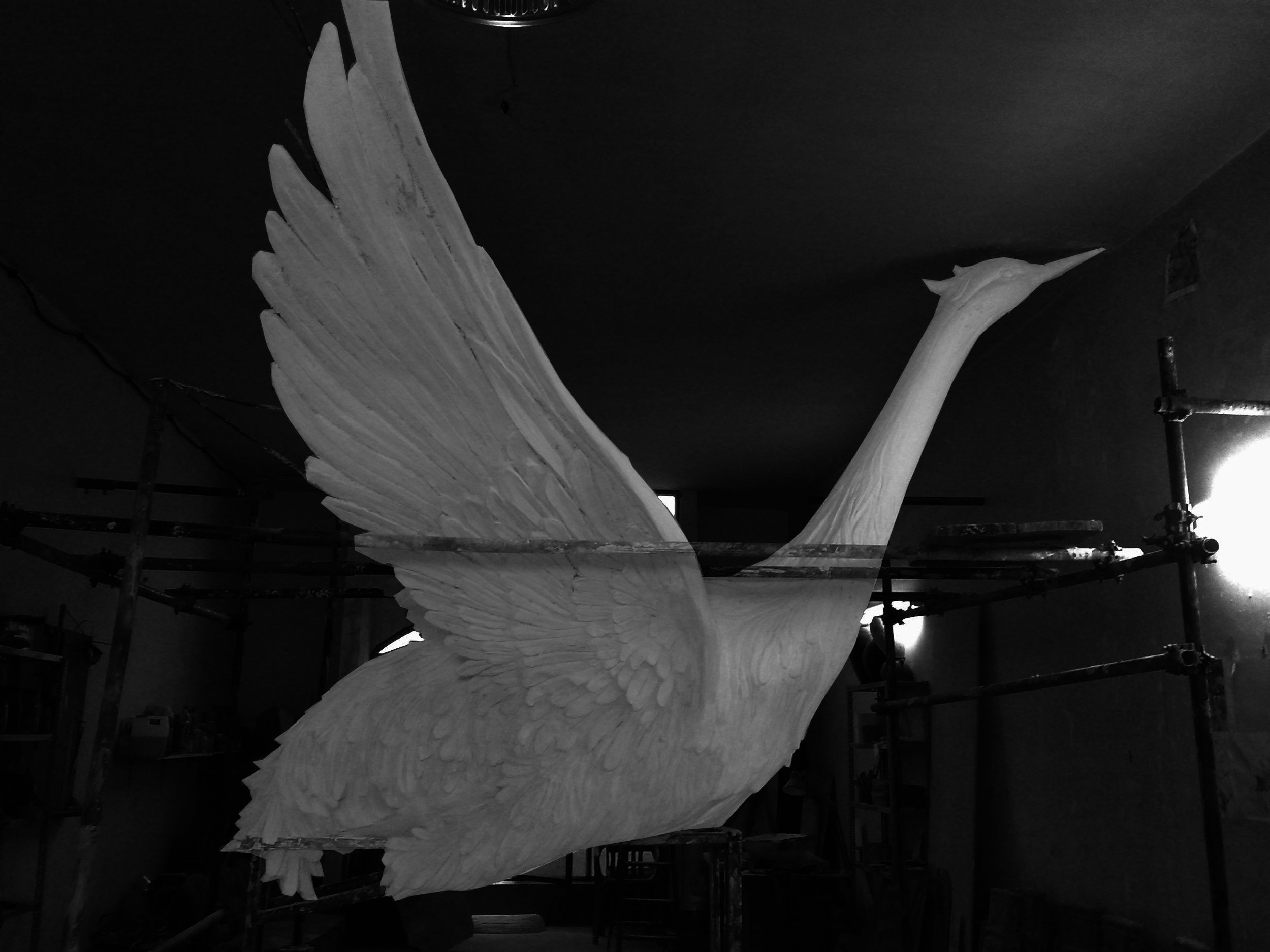 ddorna b&w1.jpg