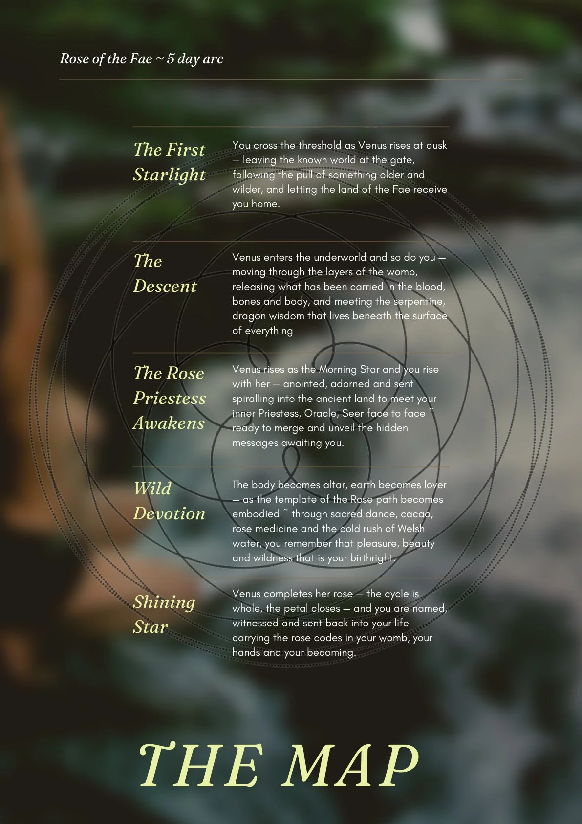 rose-of-the-fae-page-03.jpg