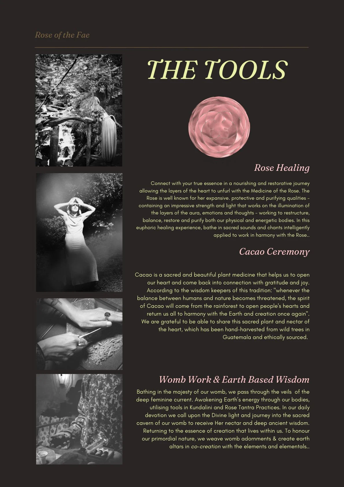 rose-of-the-fae-page-11.jpg