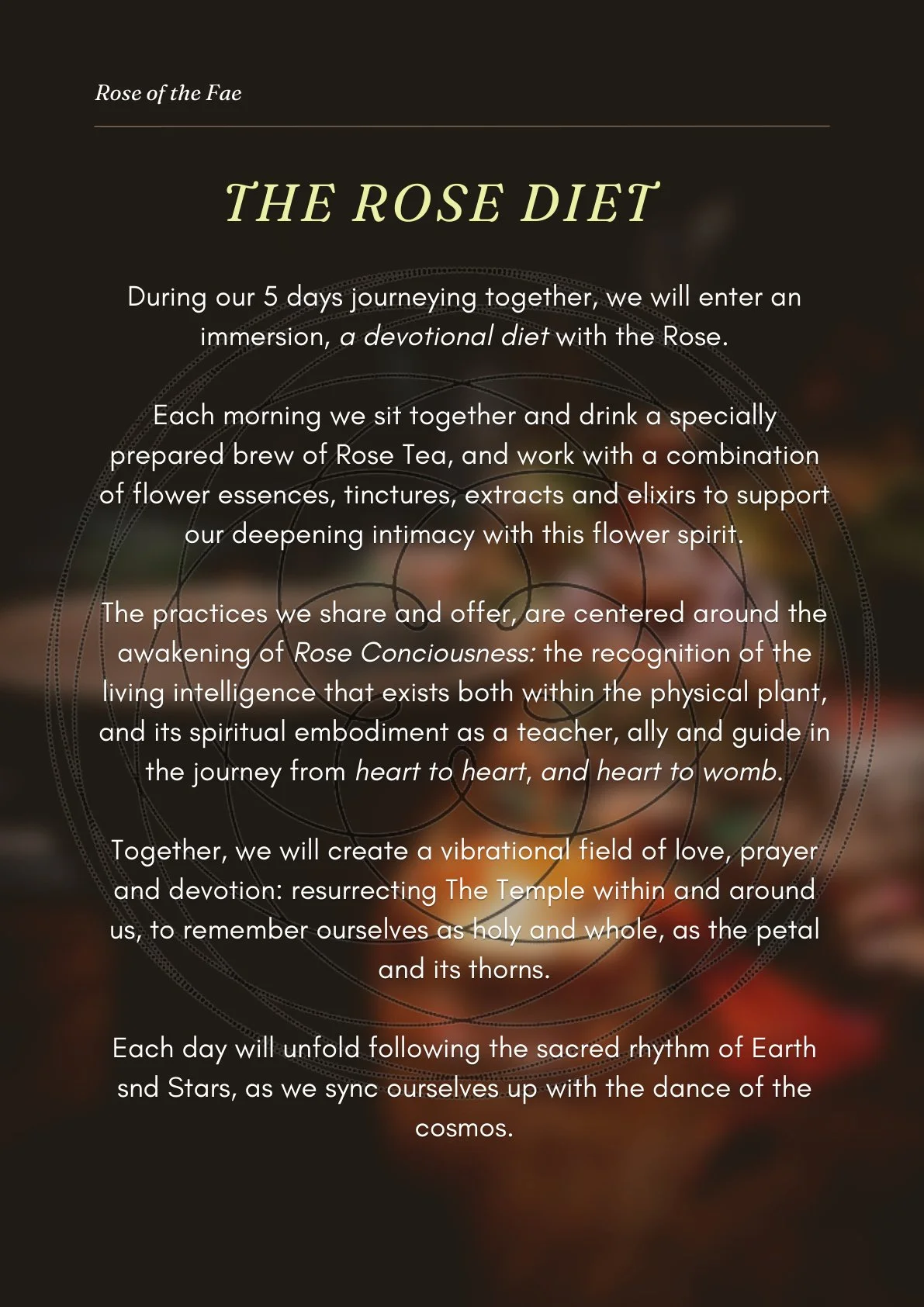 rose-of-the-fae-page-07.jpg