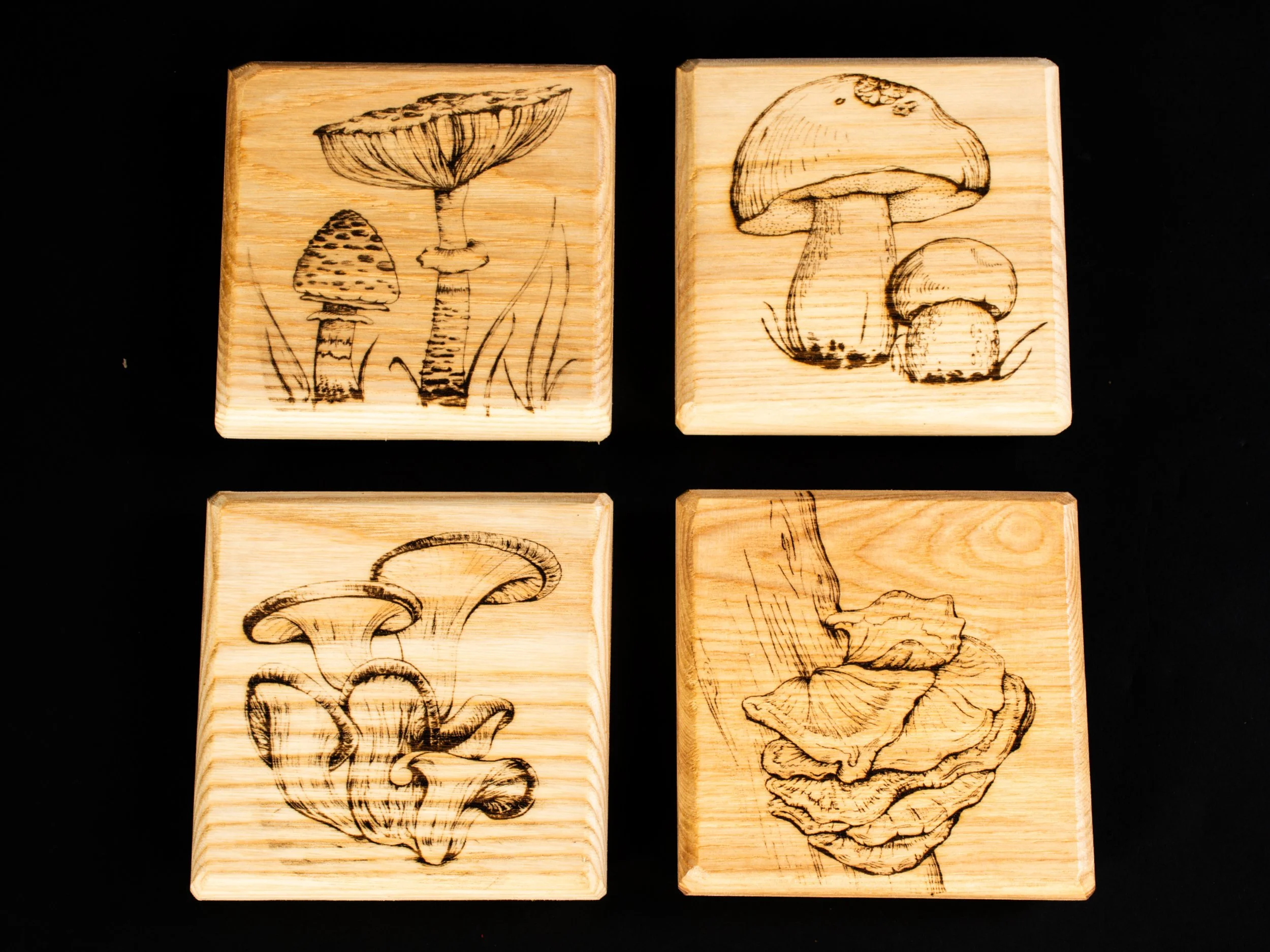 Coasters-69.jpg