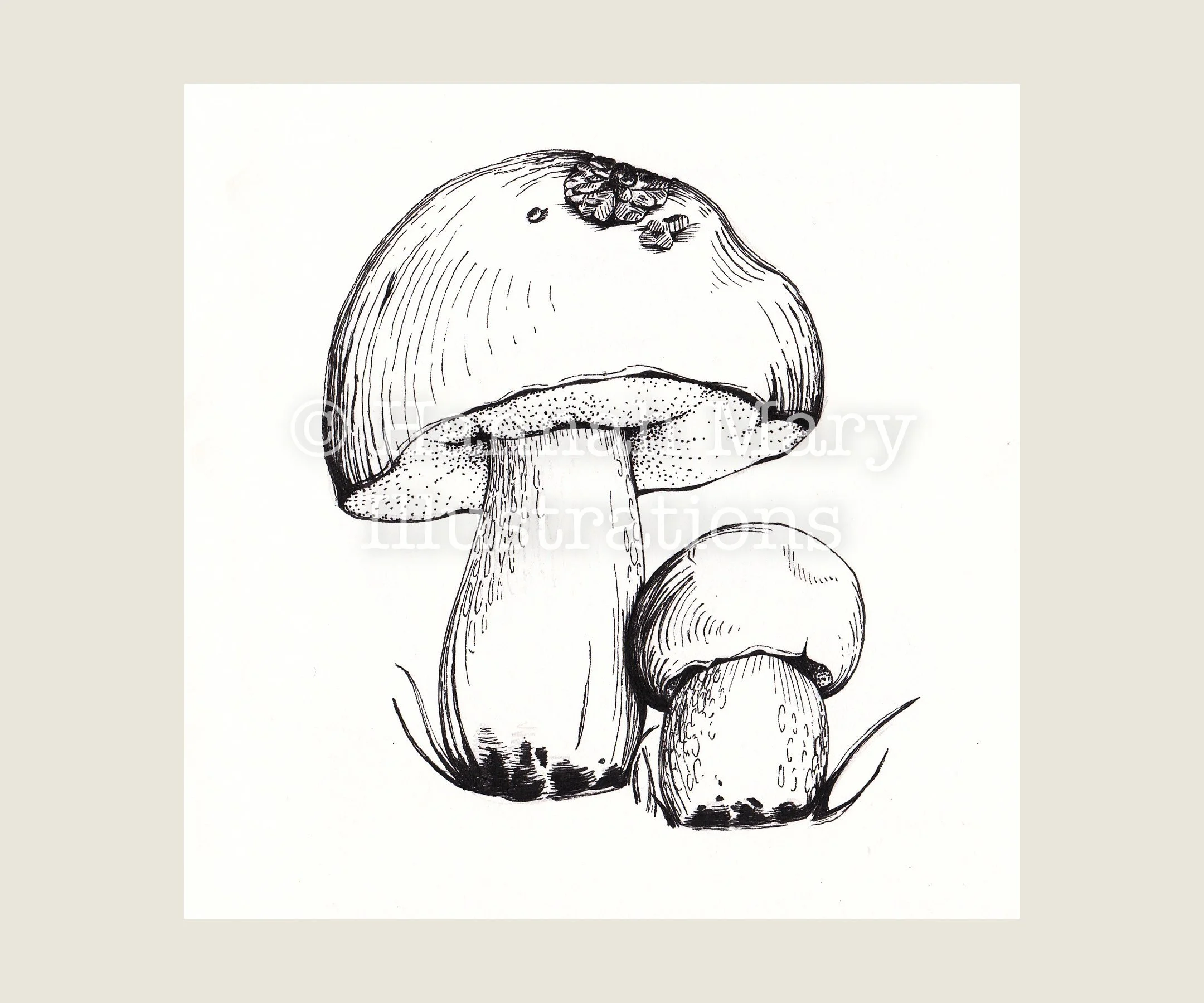 CEP+Mushroom.jpg