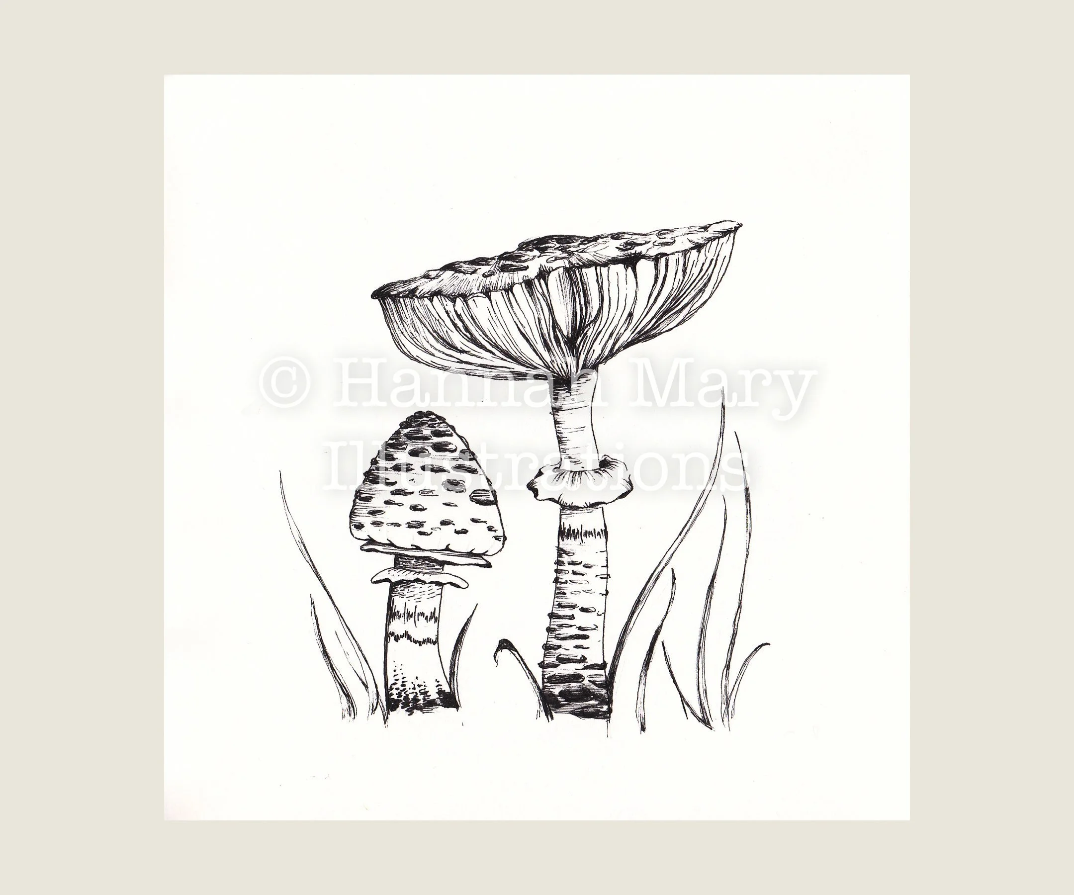 Parasol+Mushroom.jpg