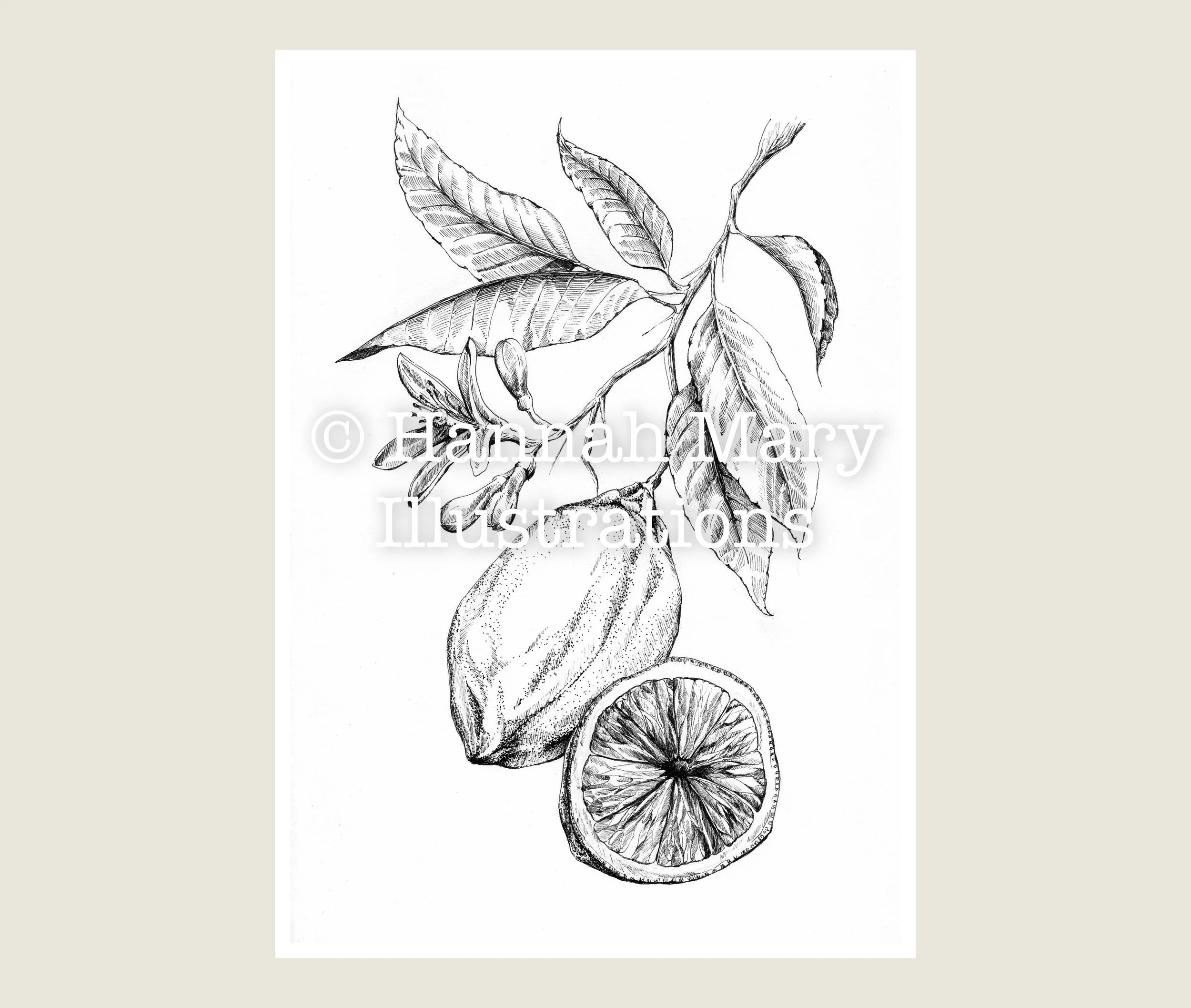 Lemon+8.jpg