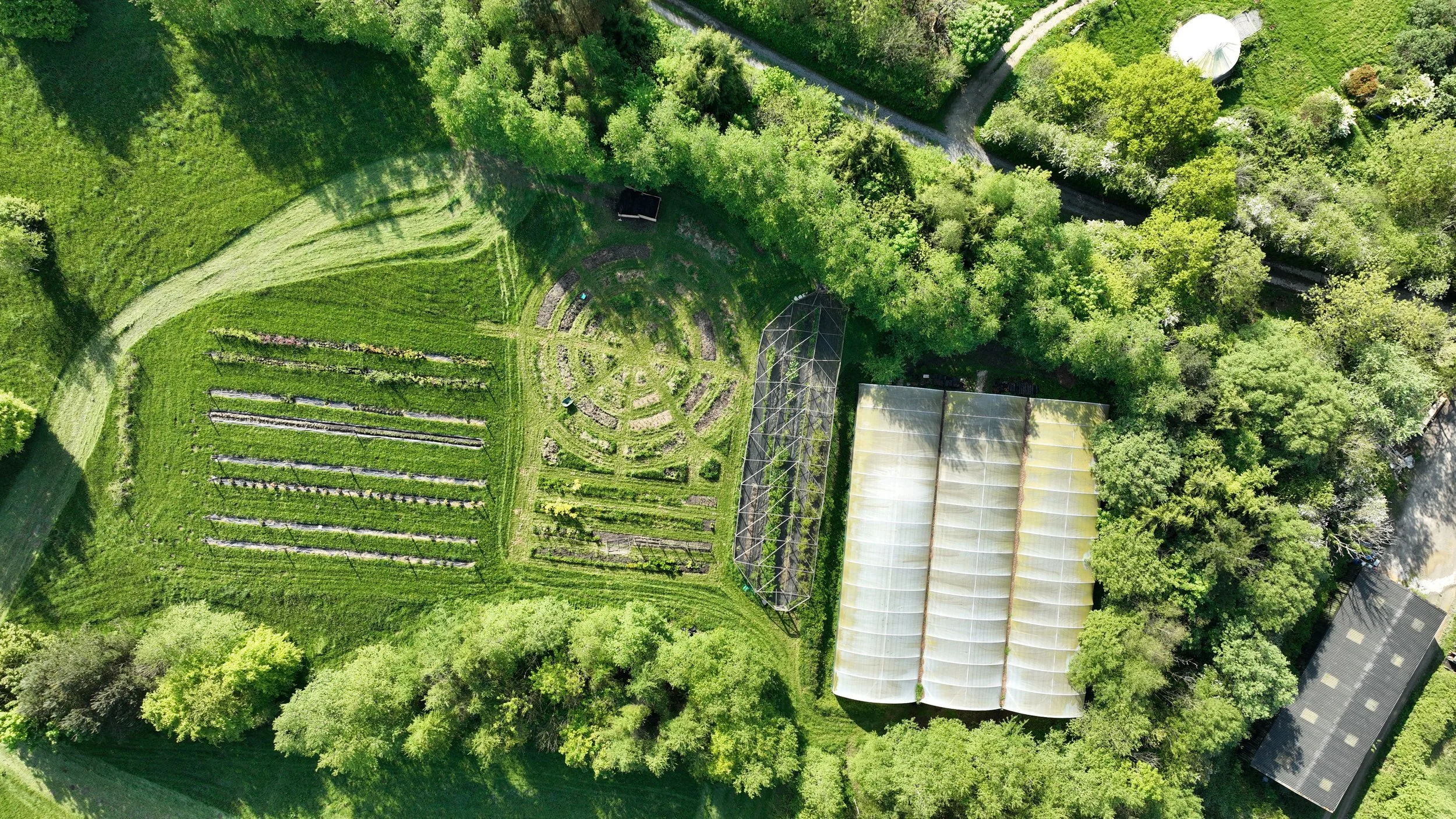 Polytunnel Field.jpg