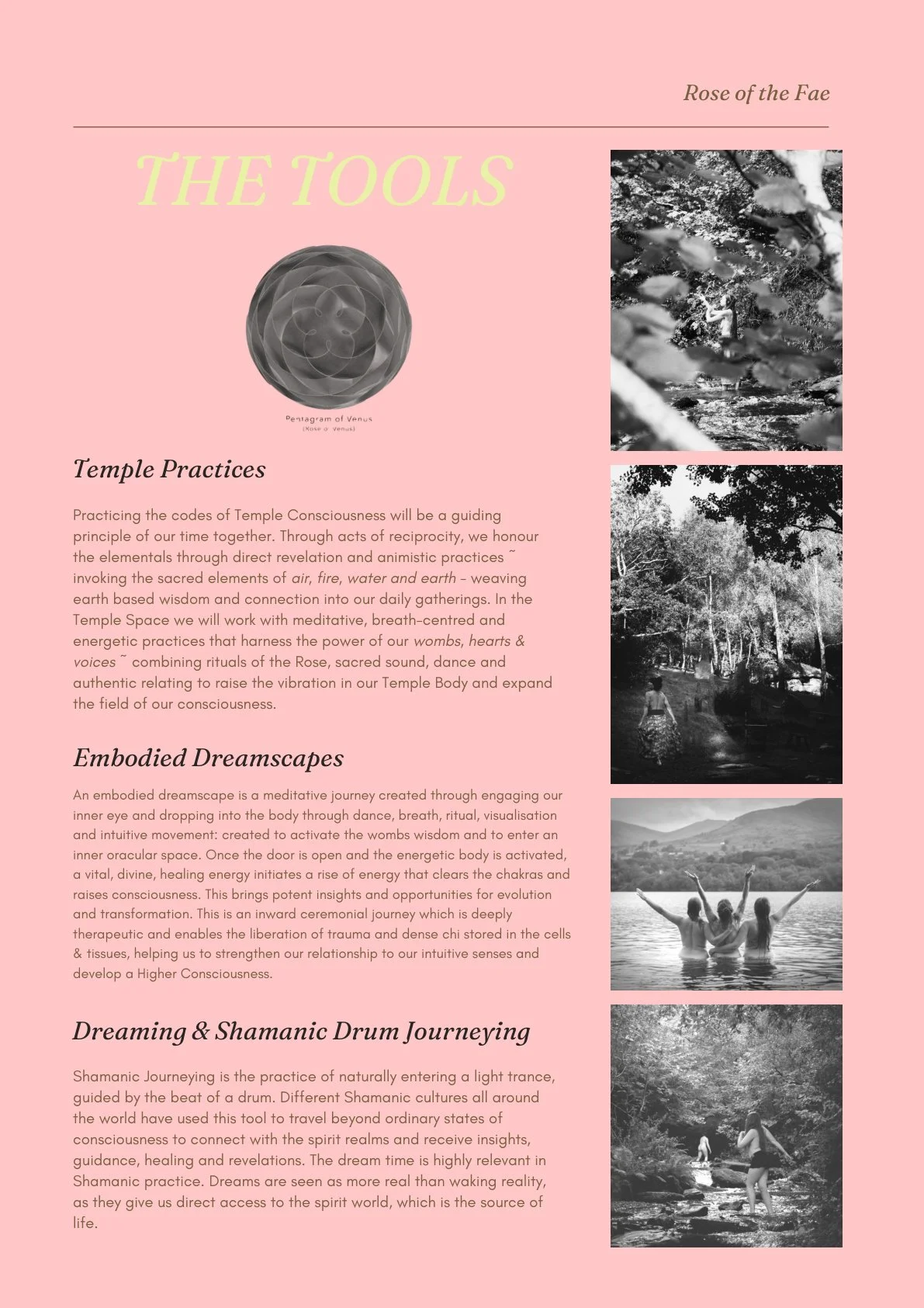 rose-of-the-fae-page-10.jpg
