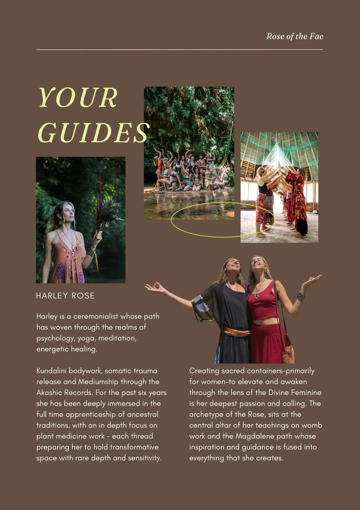 rose-of-the-fae-page-17.jpg