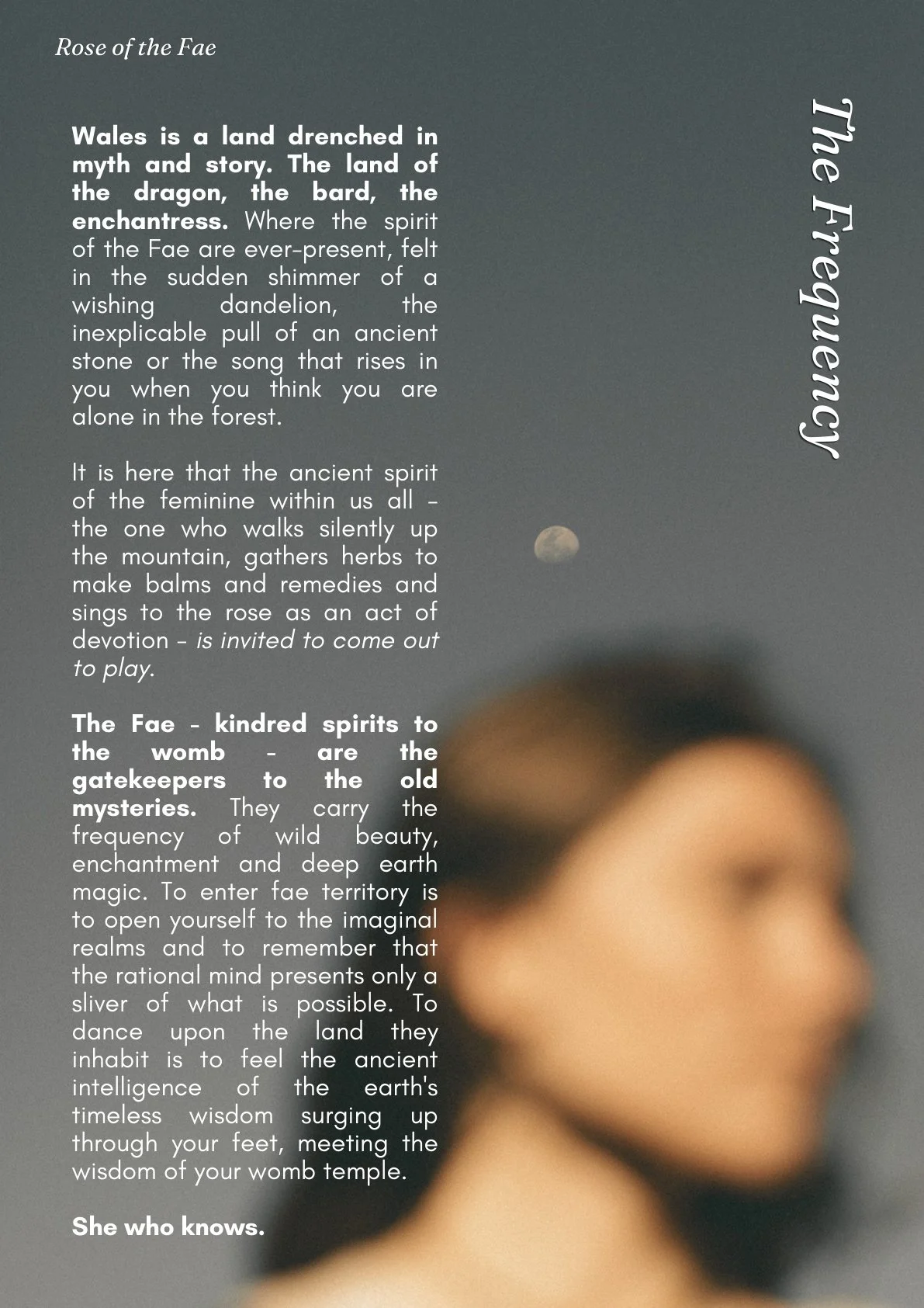 rose-of-the-fae-page-05.jpg