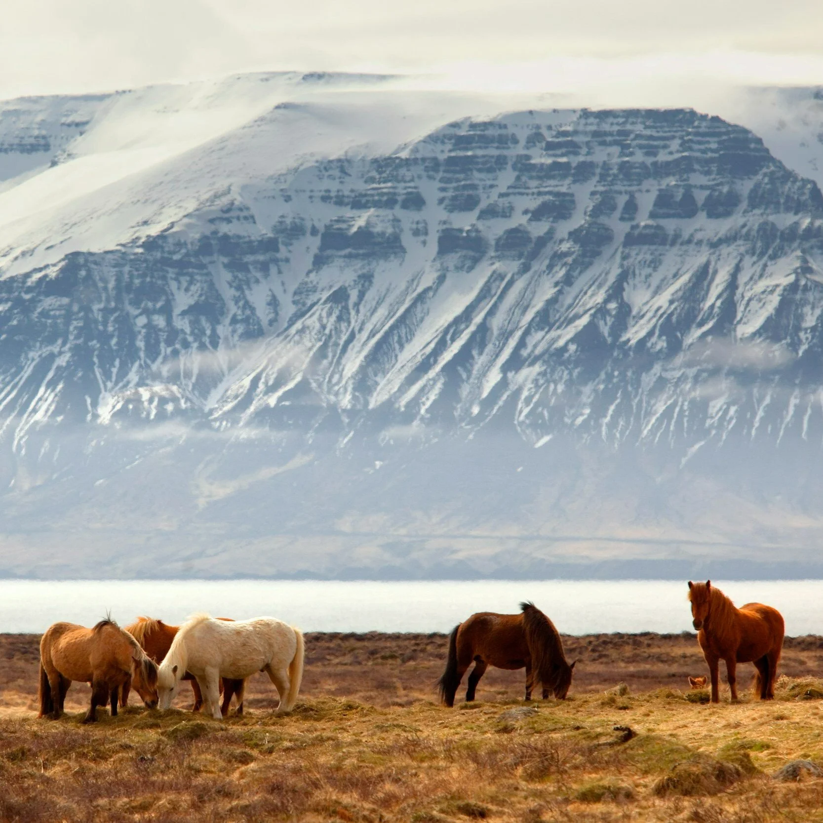iceland things to do