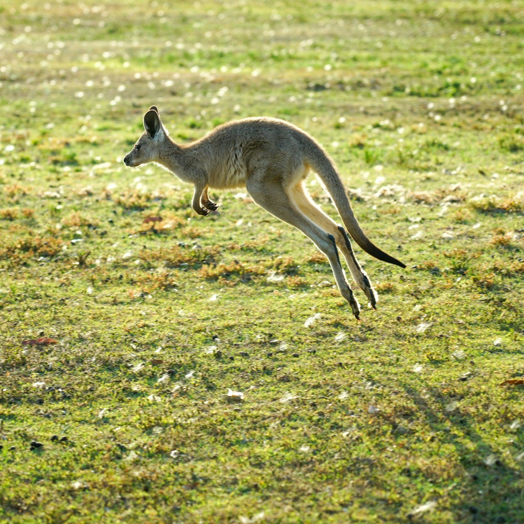 road trip itinerary australia