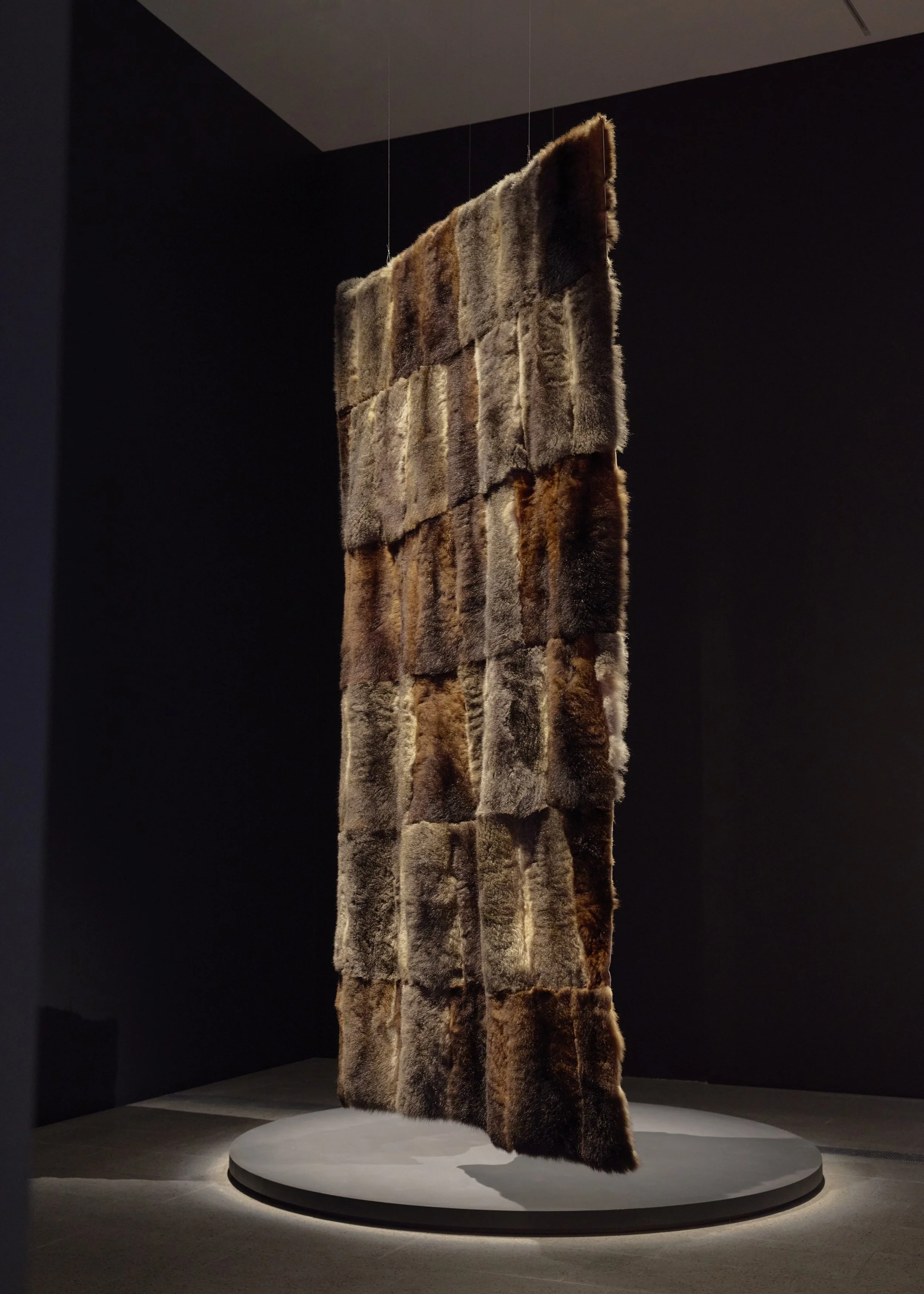20260318_NGV_033.jpg