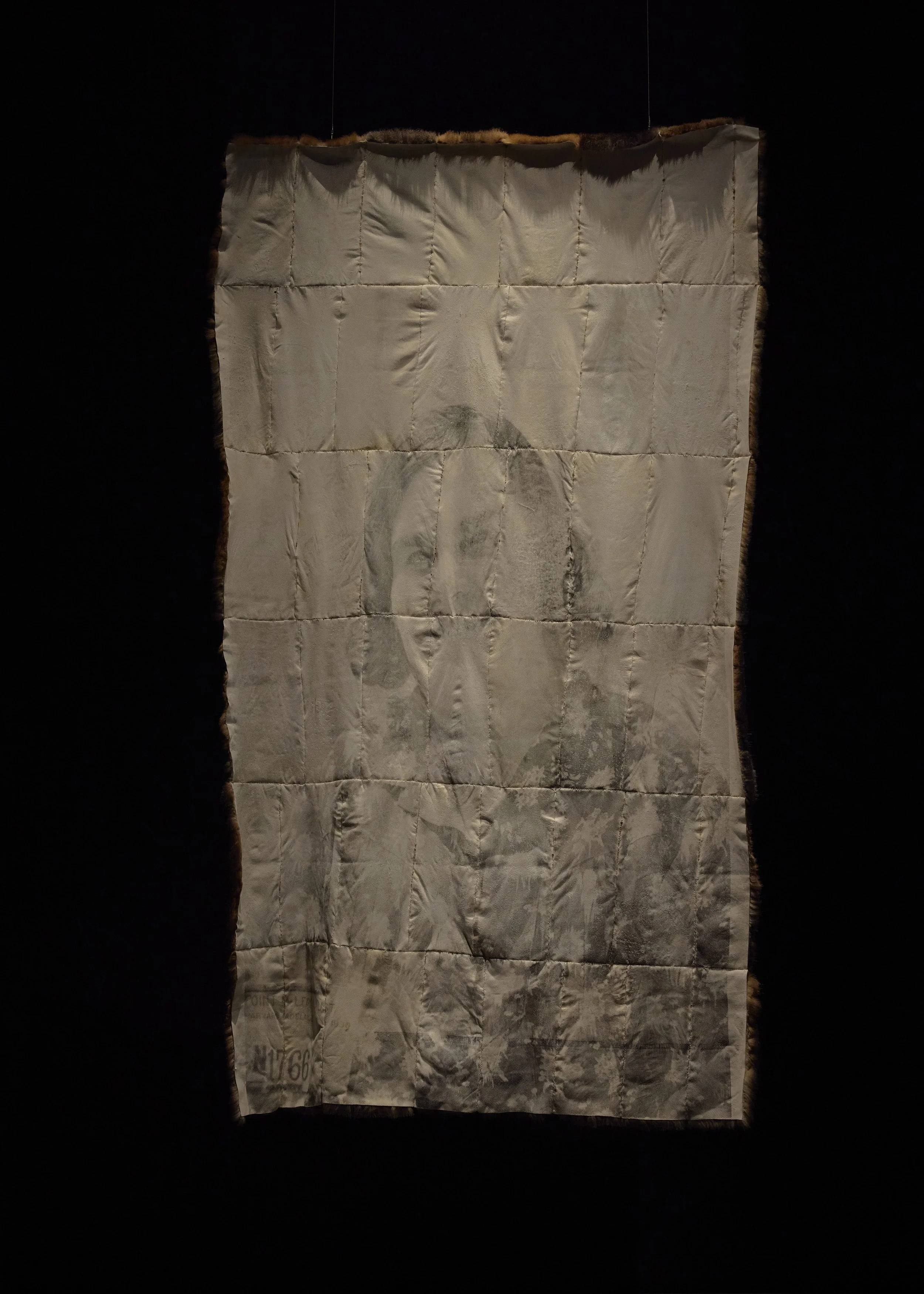20260318_NGV_015.jpg