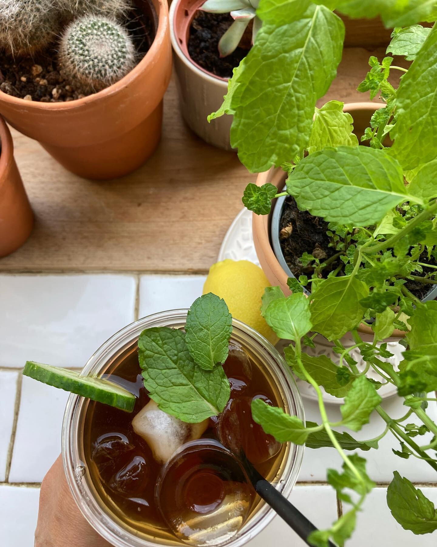 New Iced Tea to keep you cool 🧊 
Choose Peach 🍑 or Cucumber &amp; Mint 🥒