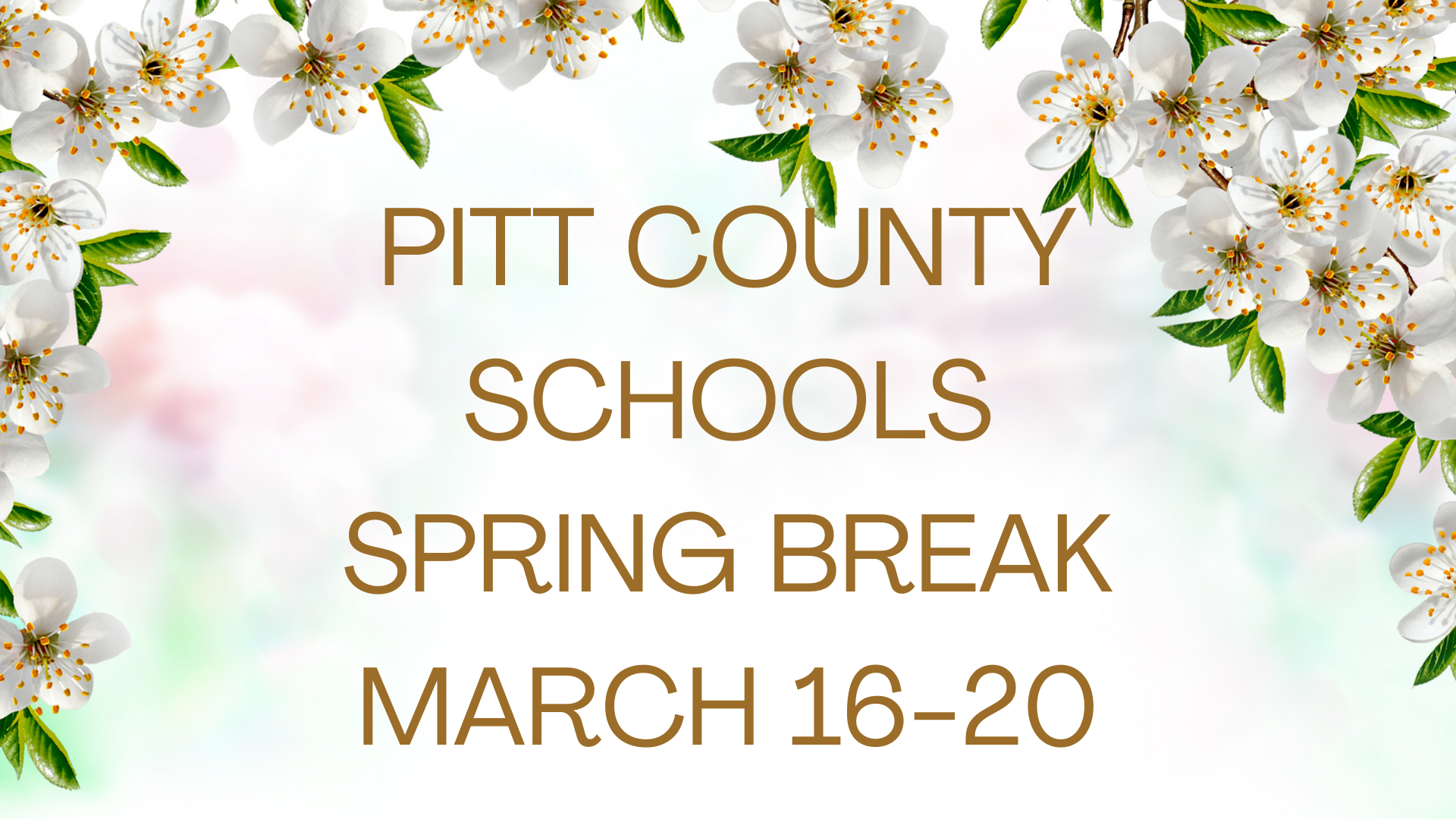 Pitt County Schools Spring Break