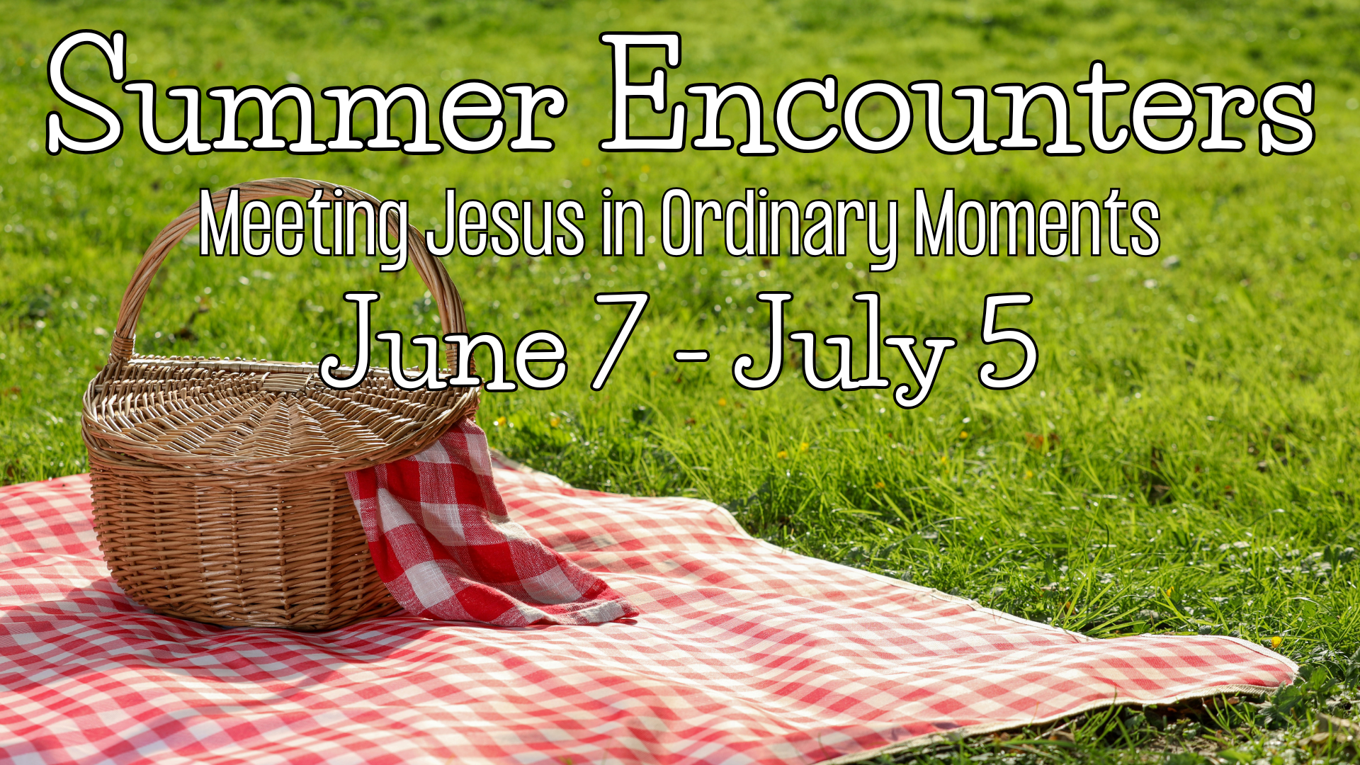 Summer Encounters