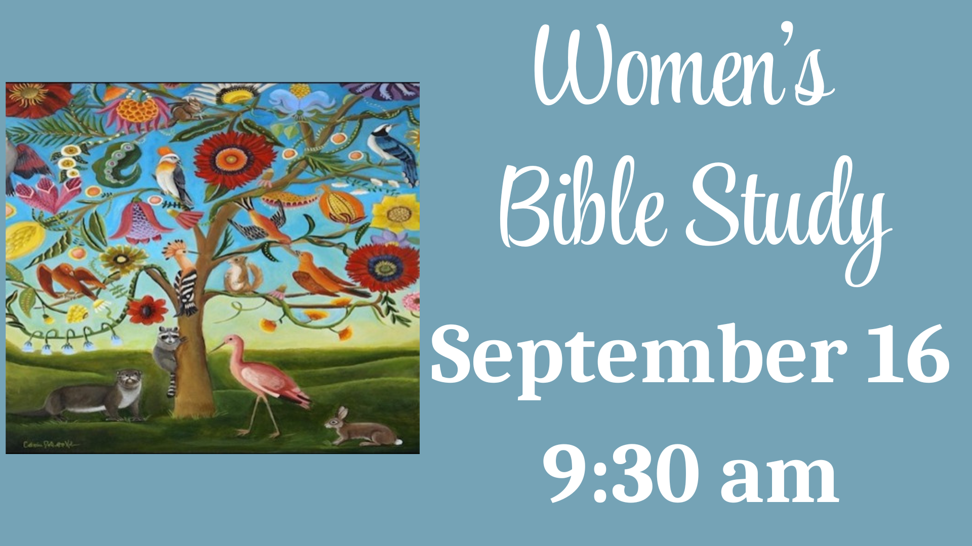 Women's Bible Study