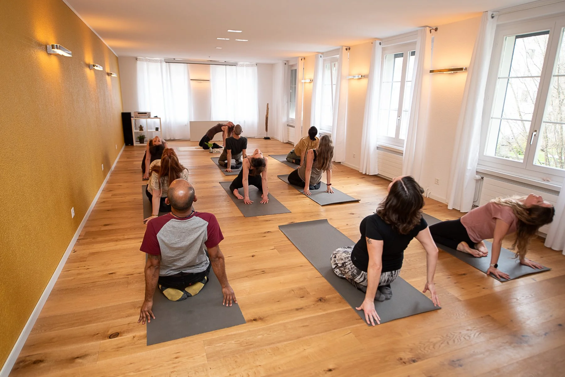  Eine Gruppe von Menschen auf Yogamatten praktiziert Rückbeugen im Knien während eines Kurses in einem hellen Studio mit gelber Wand und Holzboden. 
