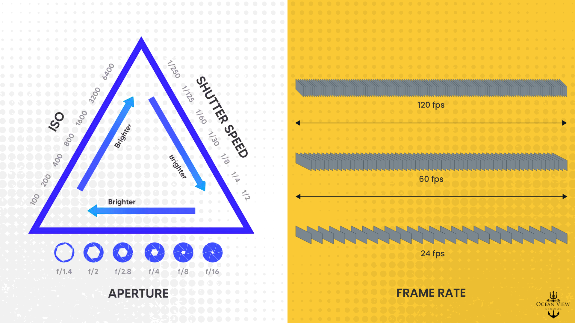 Choosing the Right Camera for Fandom Content & Video Marketing — Ocean ...