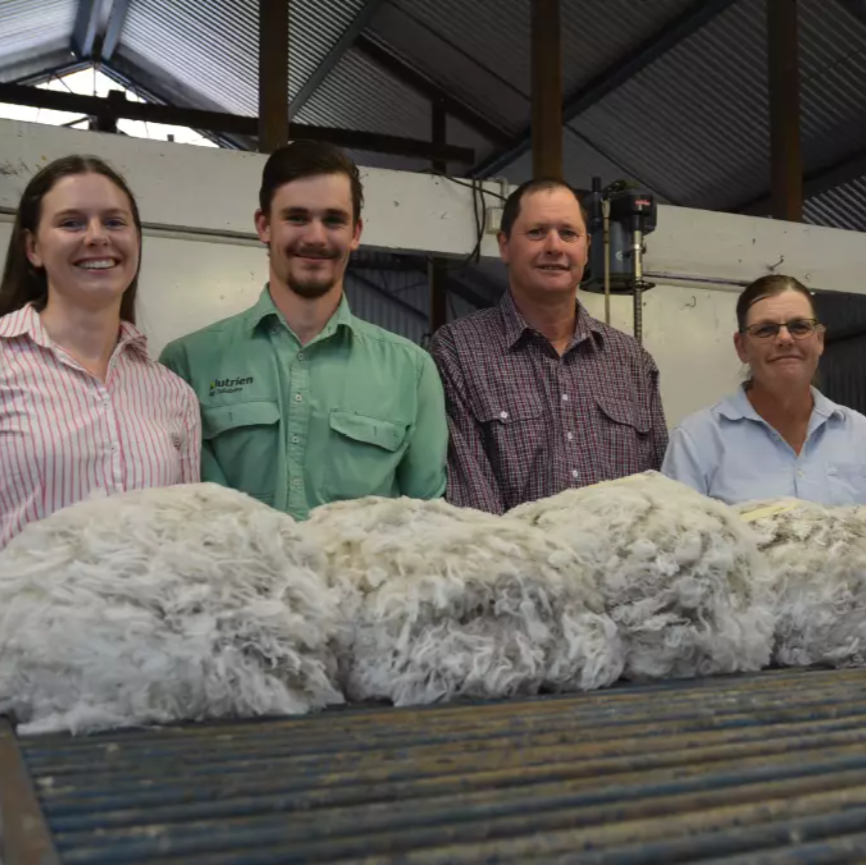 Wynilbah experience with the Woven Optics Wool Scanner.