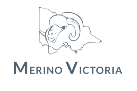 Merino Victoria Horsham Wimmera Autumn Merino 