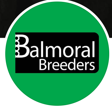 Balmoral Breeders Sire Evaluation Group 