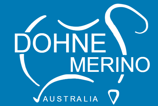 NSW Dohne Prime Lamb Schools Competition, Orange NSW