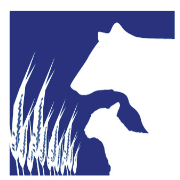 Sheepvention Rural Expo