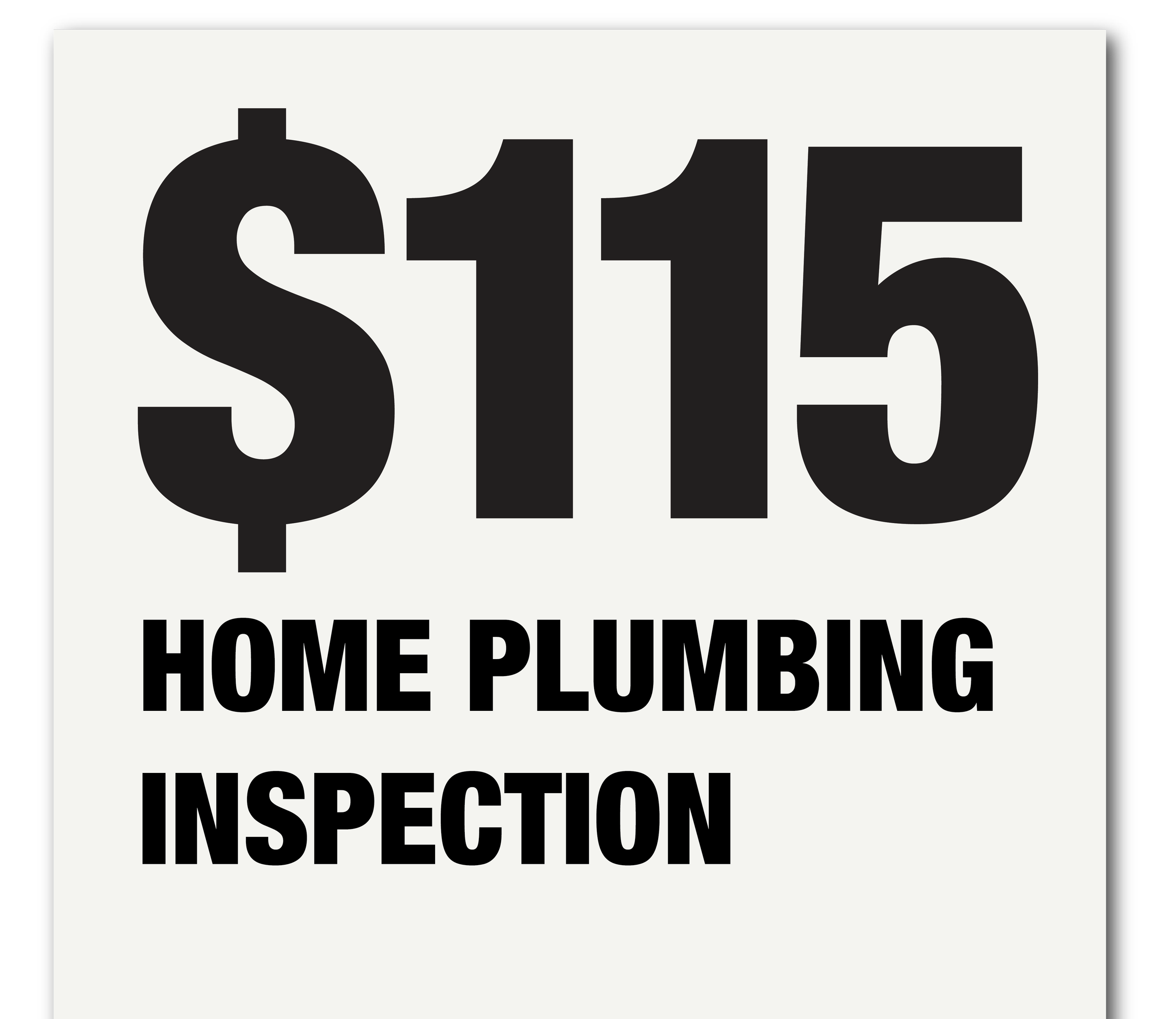HOME PLUMBING INSPECTION COUPON