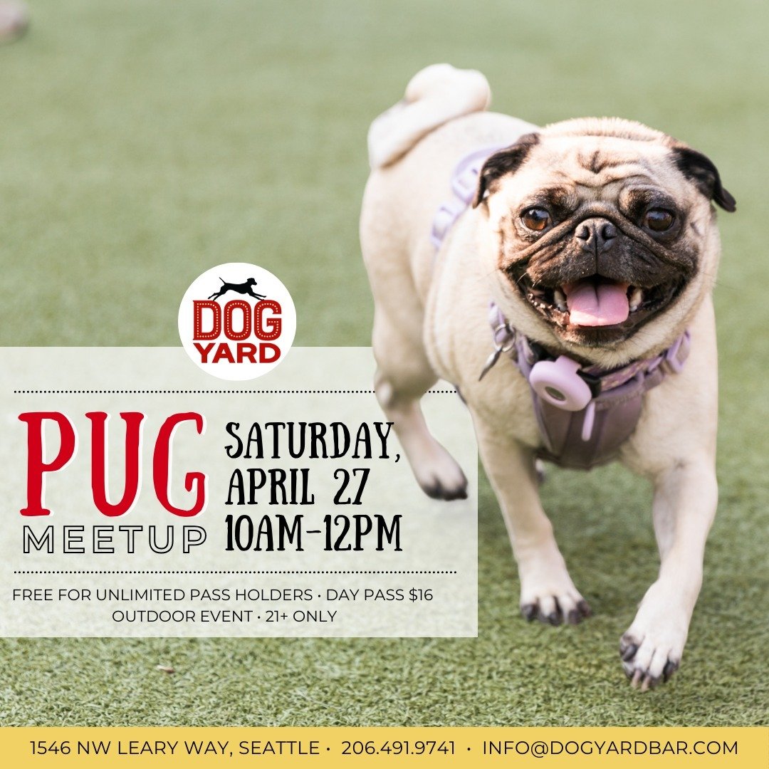 SATURDAY APRIL 27, 10AM-12PM: PUG PUG PUG!

Mixes welcome as always 😀

All dogs must have a current profile with the Dog Yard Bar with up-to-date DHPP, Bordetella, and Rabies vaccinations. Dogs over 8 months must be spayed or neutered. For all the r