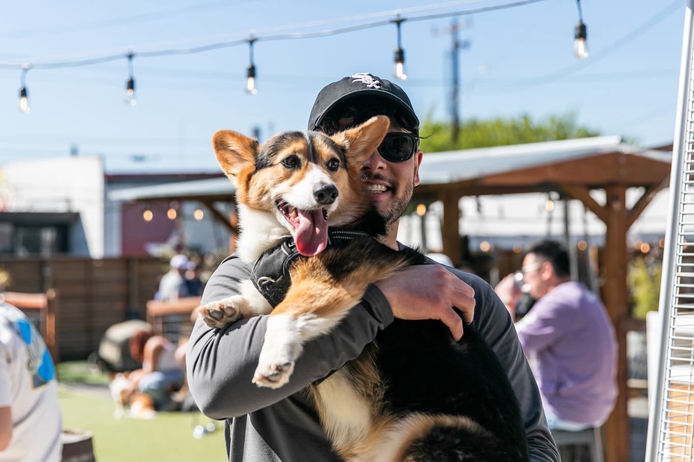 Crazy corgi meetup on this beautiful Saturday morning! Thank you to everyone who joined us &mdash; and thank you for your patience as we dealt with a neighborhood power outage 🪫⚡️ 

Photos from the event are available via Dropbox, link in our bio!