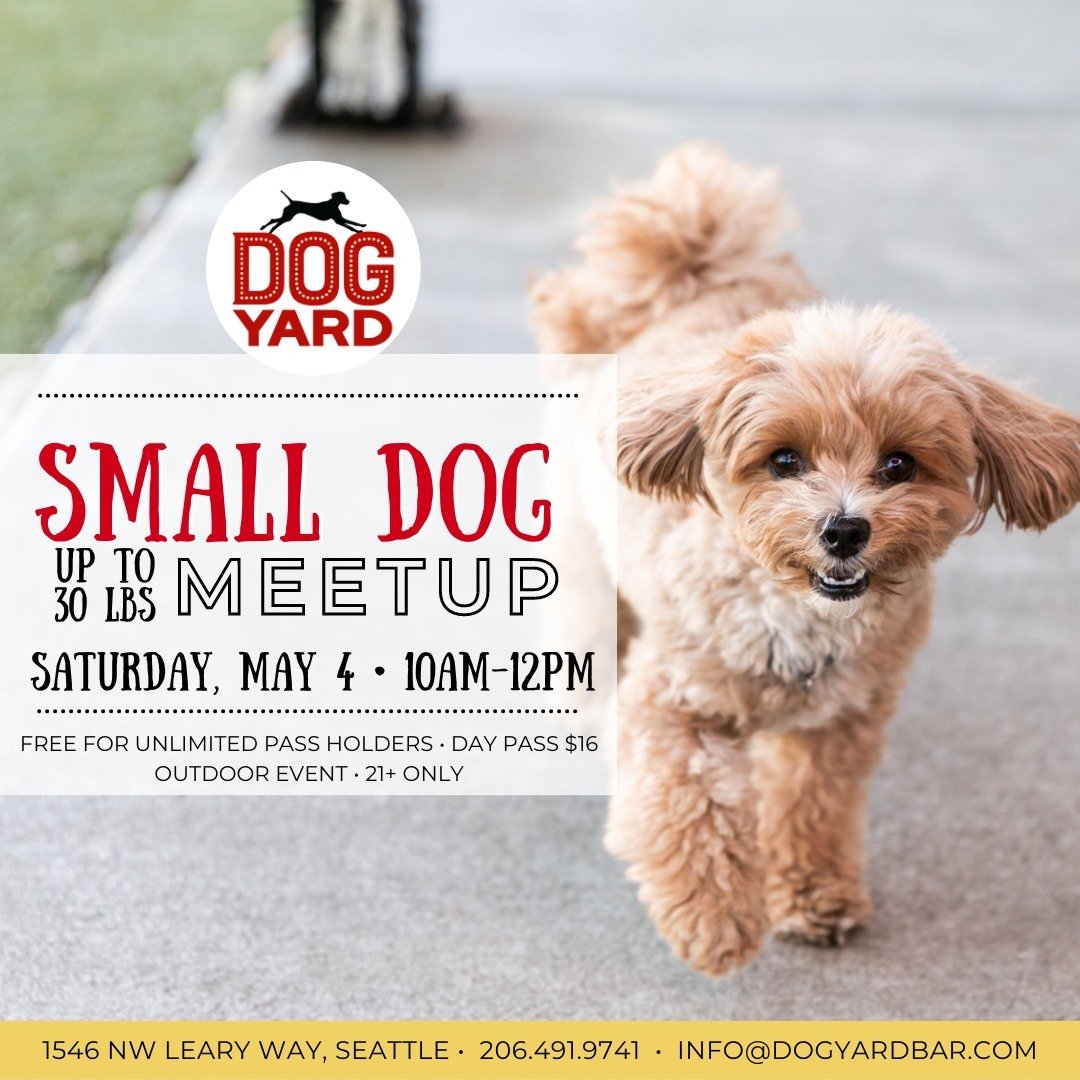 SATURDAY MAY 4, 10AM-12PM: SMALL DOGS!

Any dog under 30 lbs is welcome to join us for 2 hours of small dog time! 

All dogs must have a current profile with the Dog Yard Bar with up-to-date DHPP, Bordetella, and Rabies vaccinations. Dogs over 8 mont
