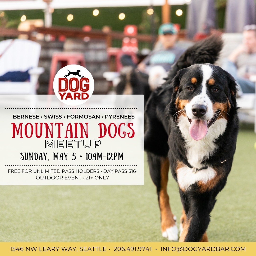 SUNDAY MAY 5, 10AM-12PM: MOUNTAIN DOGS! Bernese, Formosan, Pyrenees, &amp; Swiss. Mixes welcome!

All dogs must have a current profile with the Dog Yard Bar with up-to-date DHPP, Bordetella, and Rabies vaccinations. Dogs over 8 months must be spayed 