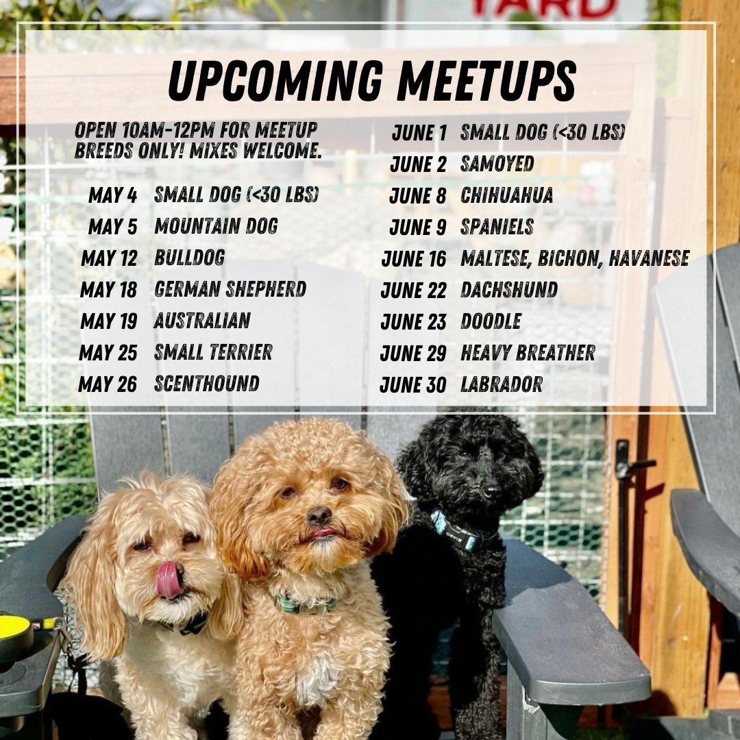 We've got a full lineup of meetups coming your way! Tag a friend who matches one of our upcoming meetups 😎