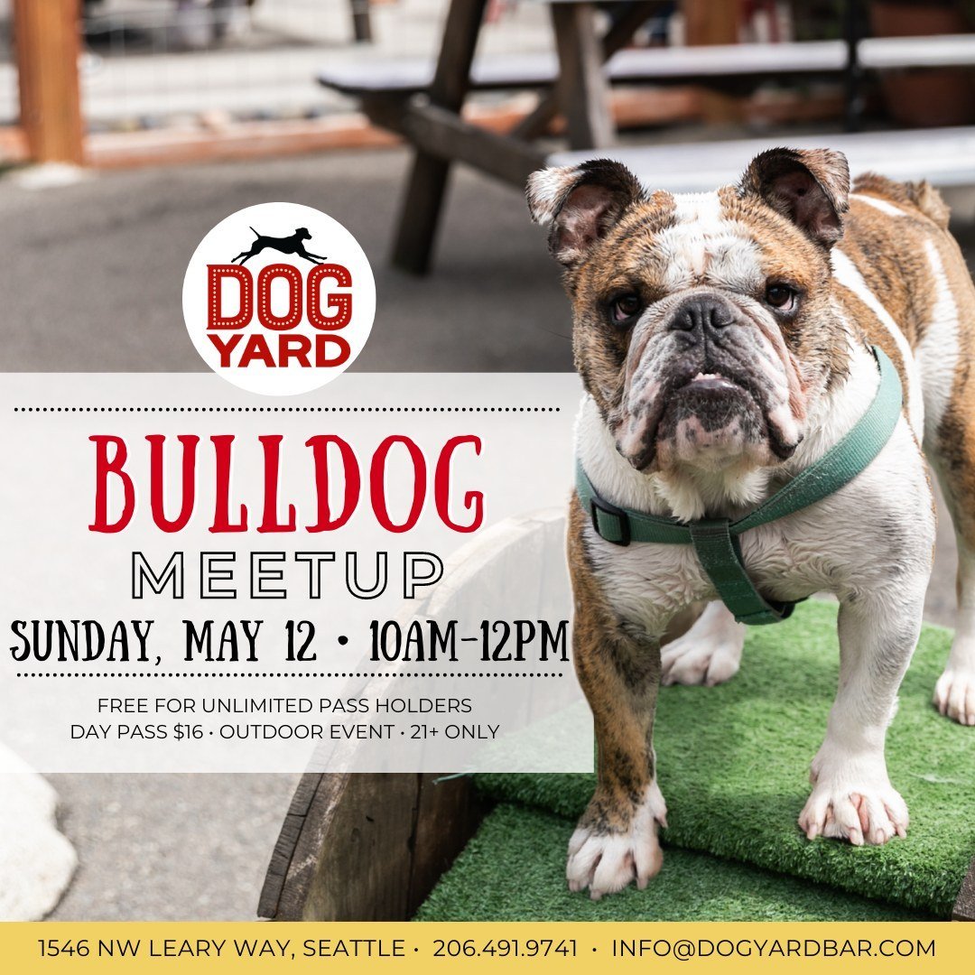 SUNDAY, MAY 12: BULLDOG MEETUP! (French, American, &amp; English - mixes welcome!)

All dogs must have a current profile with the Dog Yard Bar with up-to-date DHPP, Bordetella, and Rabies vaccinations. Dogs over 8 months must be spayed or neutered. F