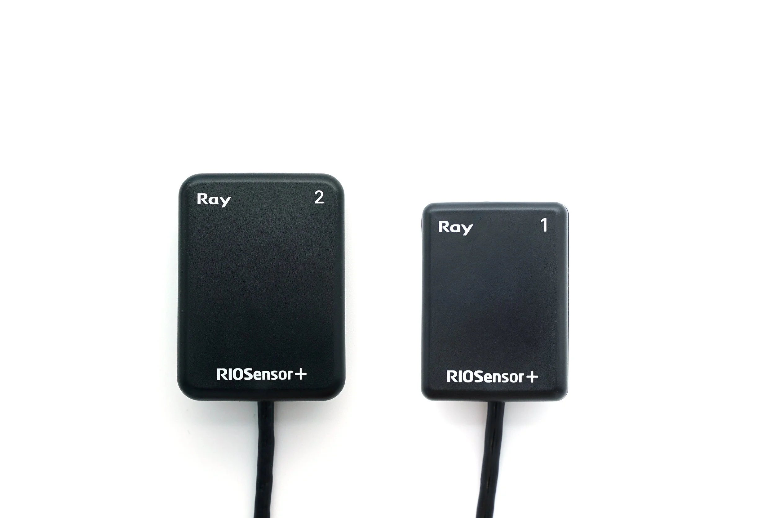RIOSensor+ — Ray America