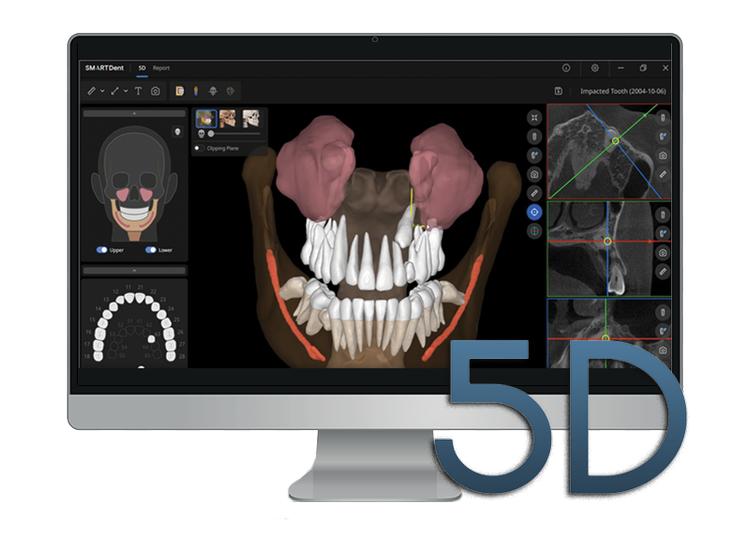 5D Software — Ray America