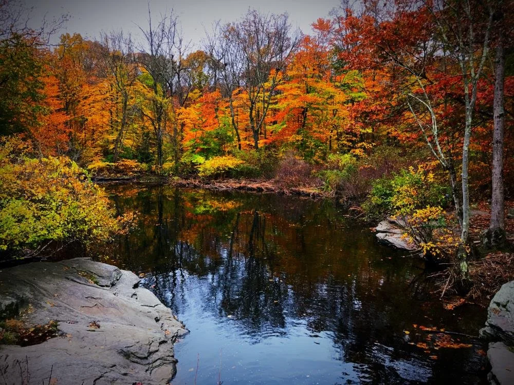 EF_Fairfield_CT.org_lake_mohegan_01.jpeg