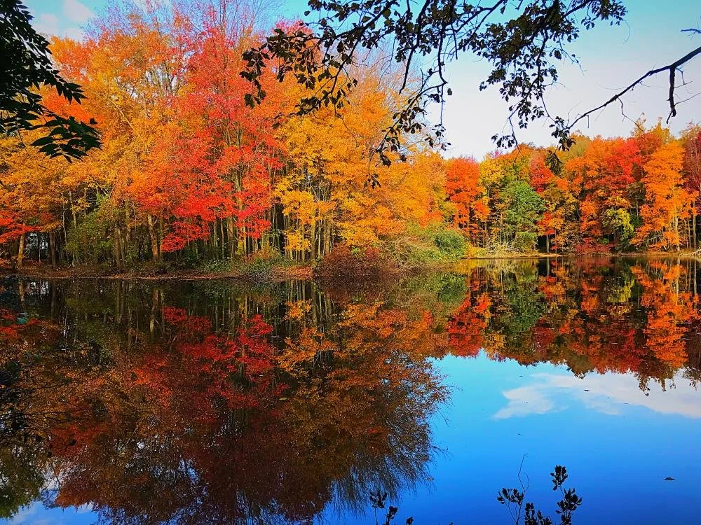 EF_Fairfield_CT.org_Mill_River_02.jpeg
